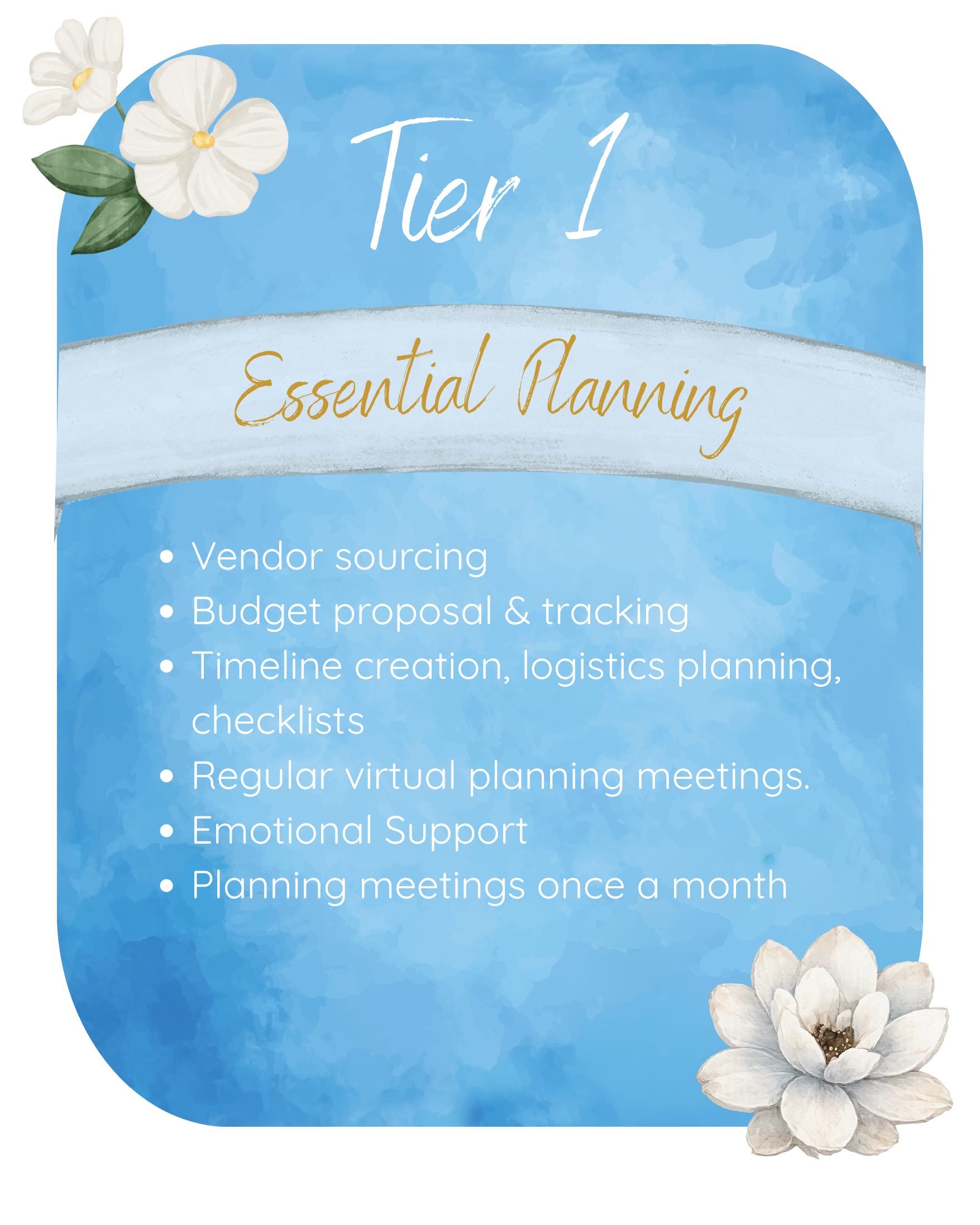 Tier 1- Essential Planning