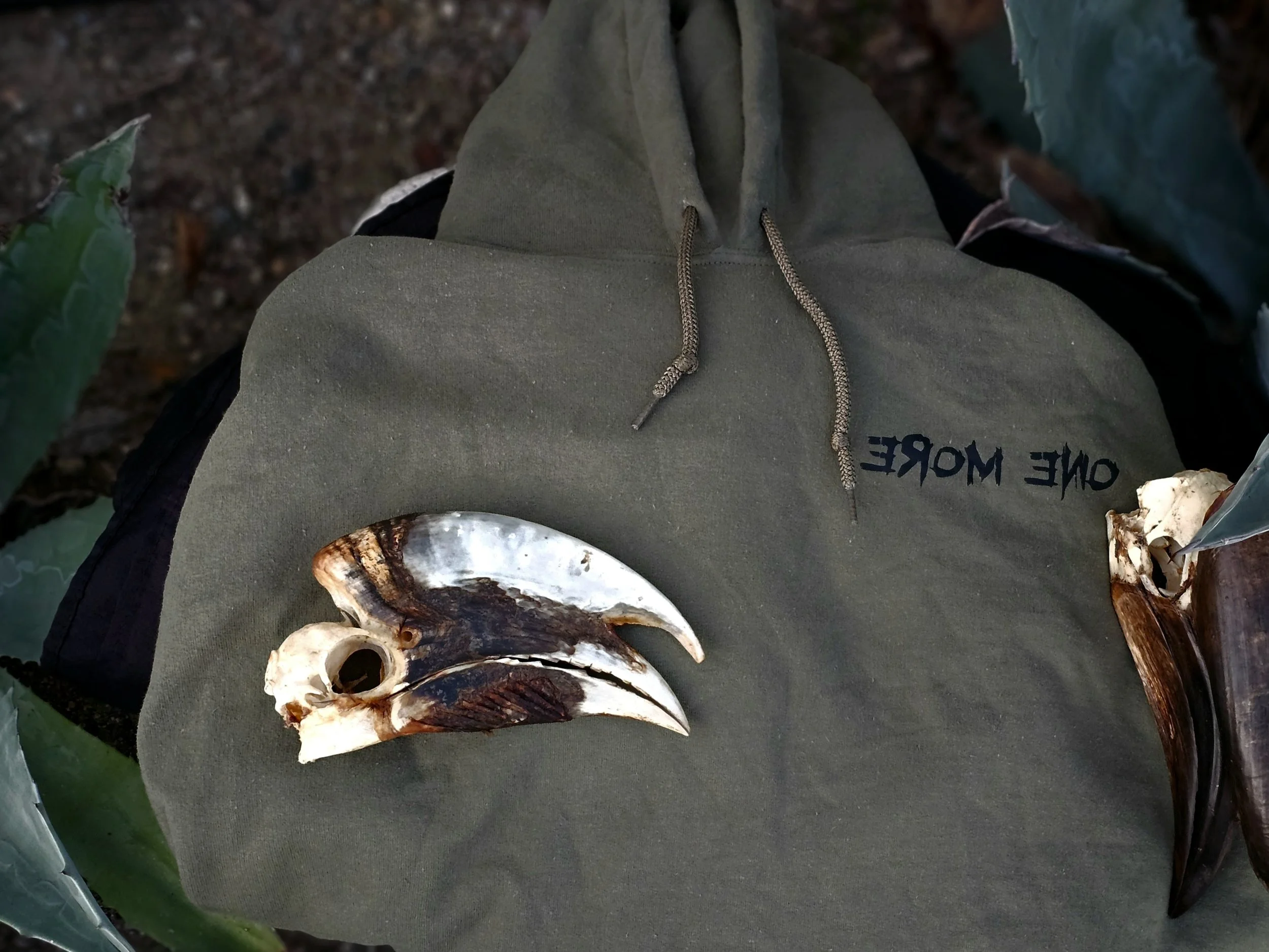 Bird Gang Hoodie-ARMY GREEN