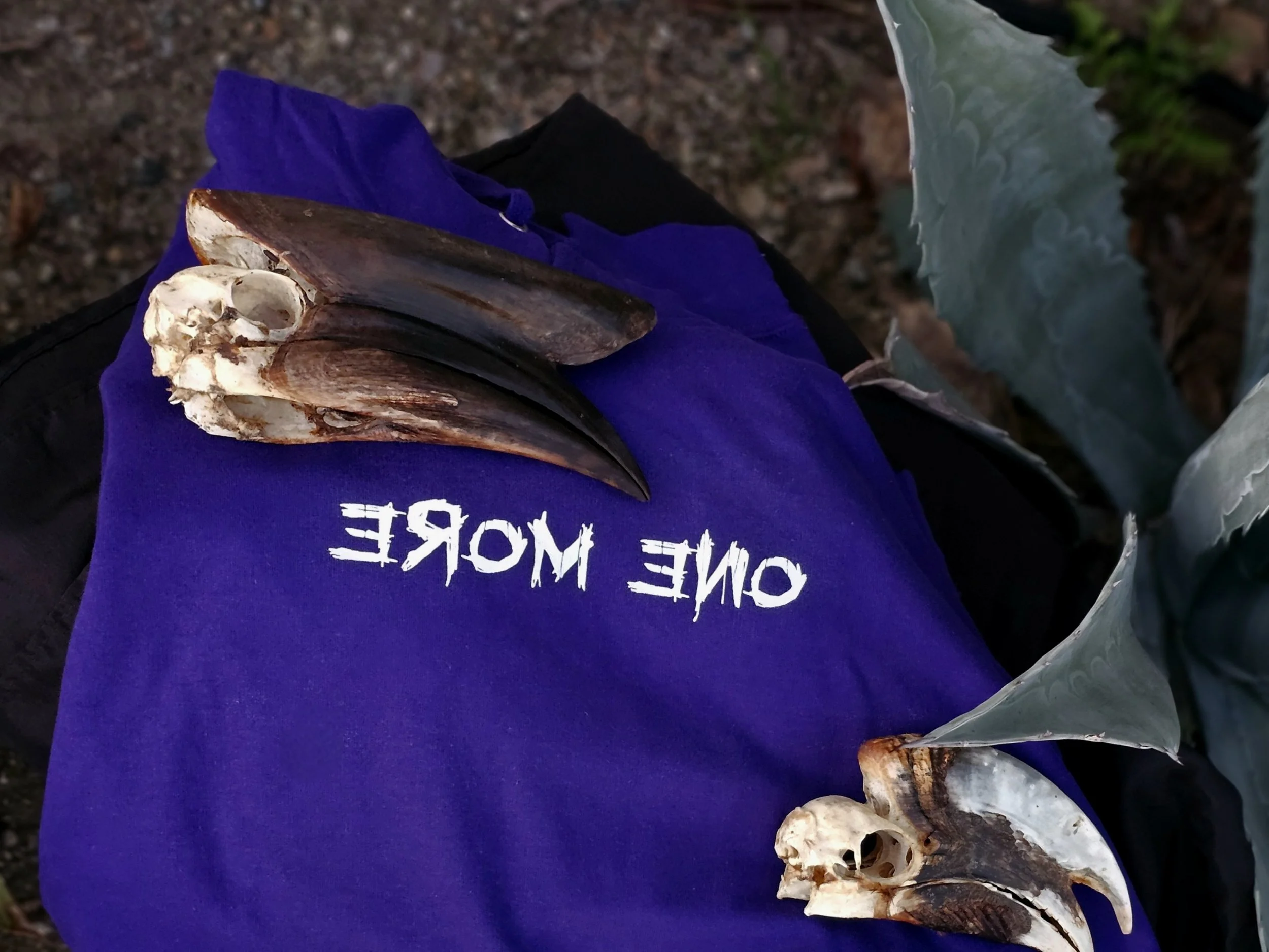 Bird Gang Hoodie-PURPLE