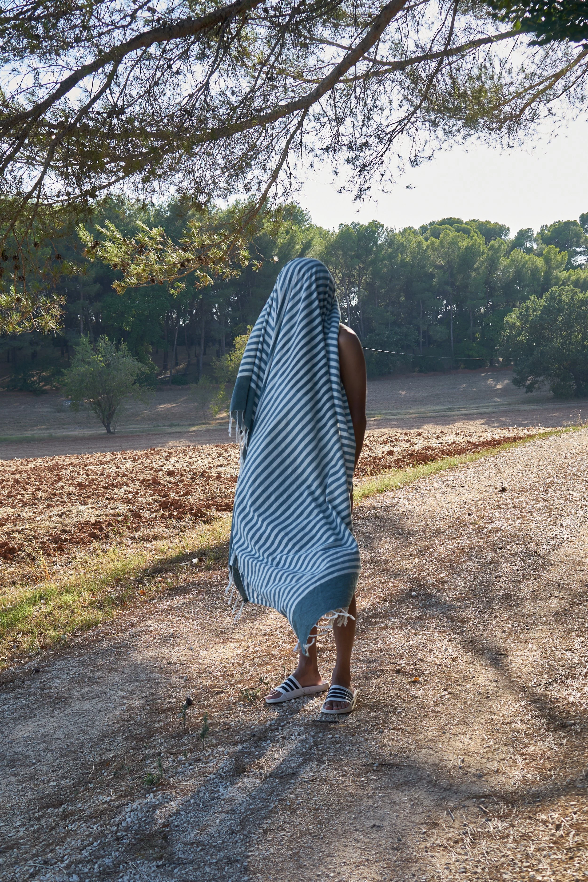 The Ghost of Summer