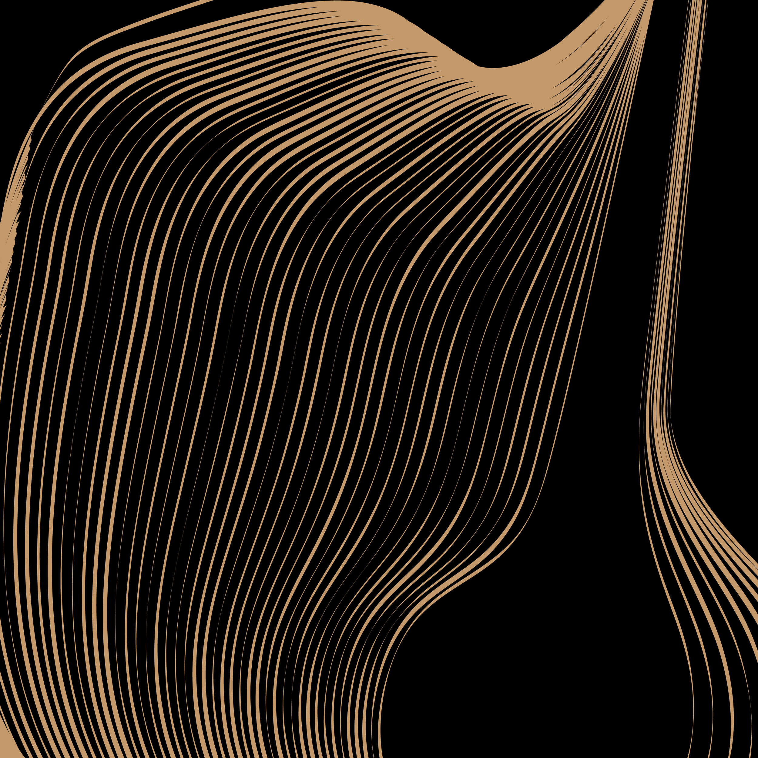 Bengal Classical Music Festival 201707.png