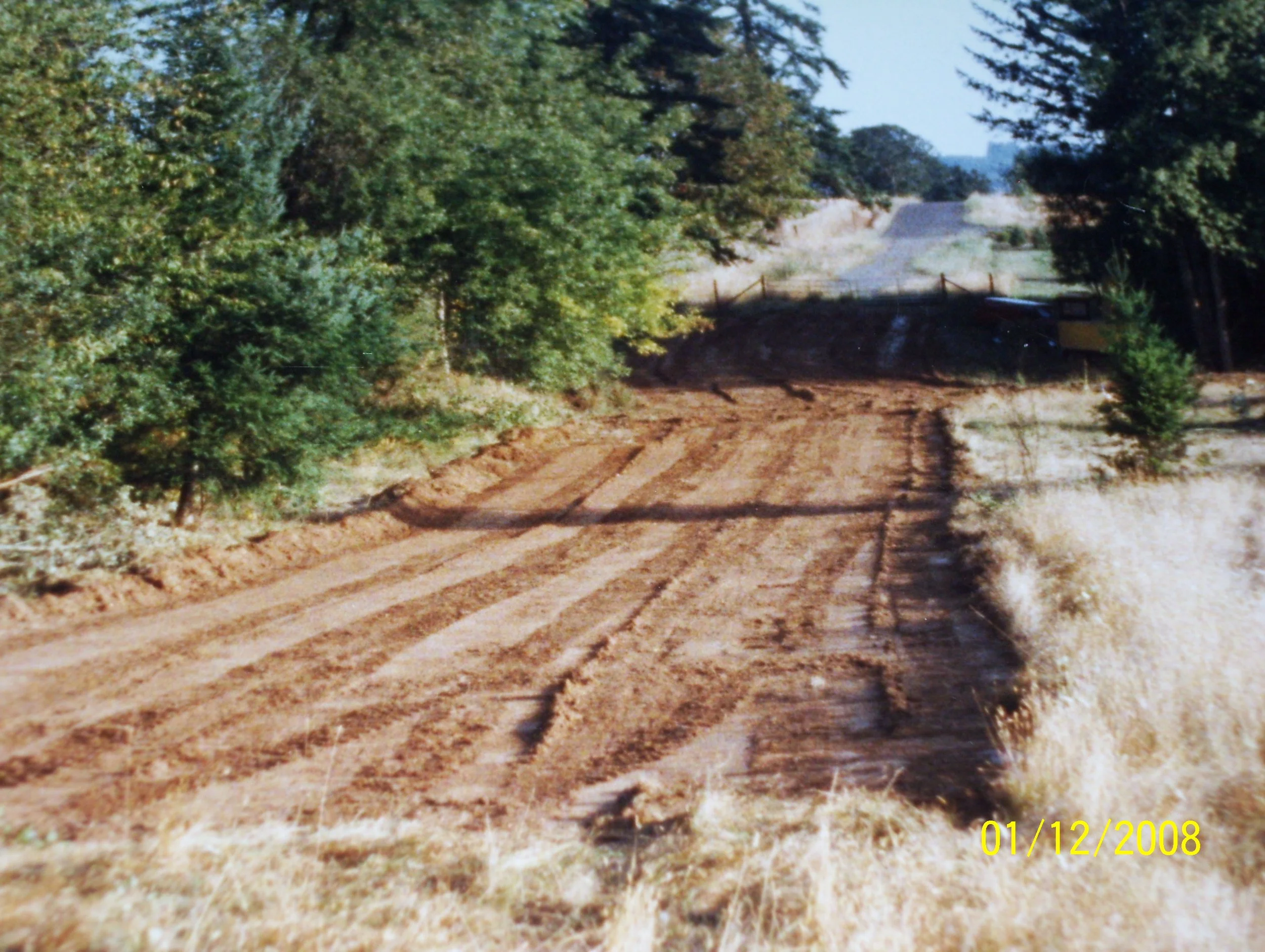 100_0254.JPG