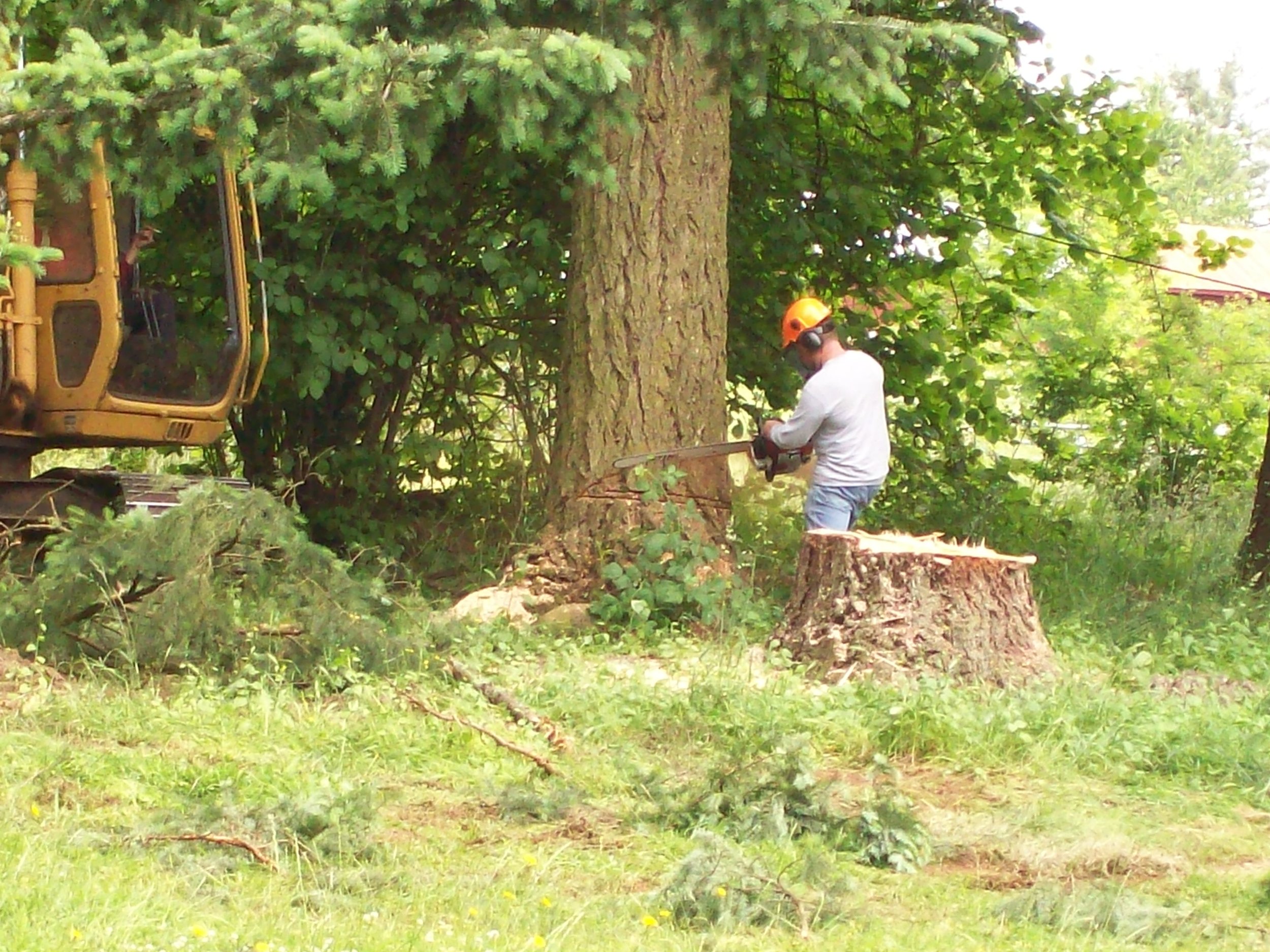 100_0634.JPG