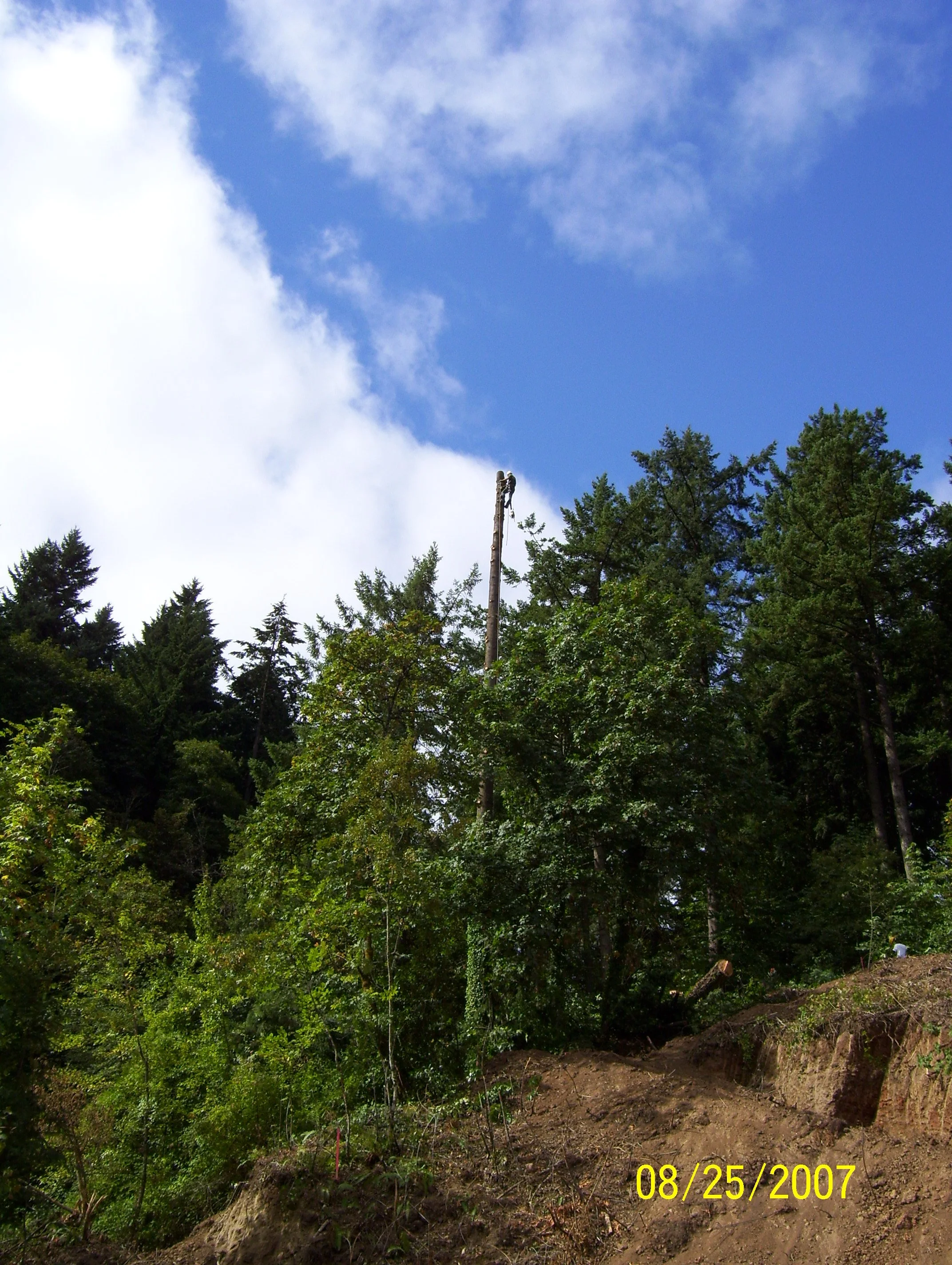 100_0172.JPG