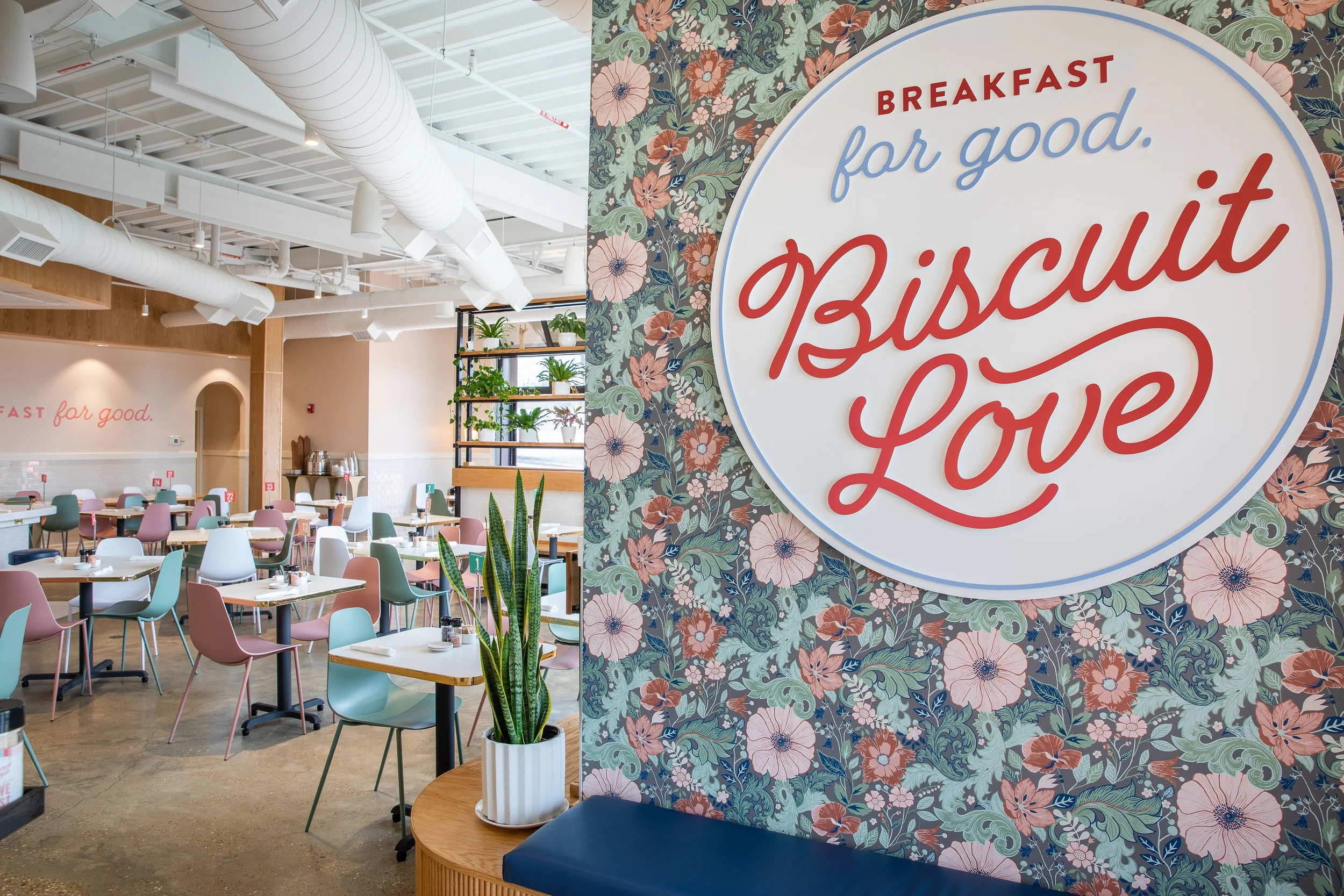 BiscuitLove-Vestavia2023CC-19.jpg