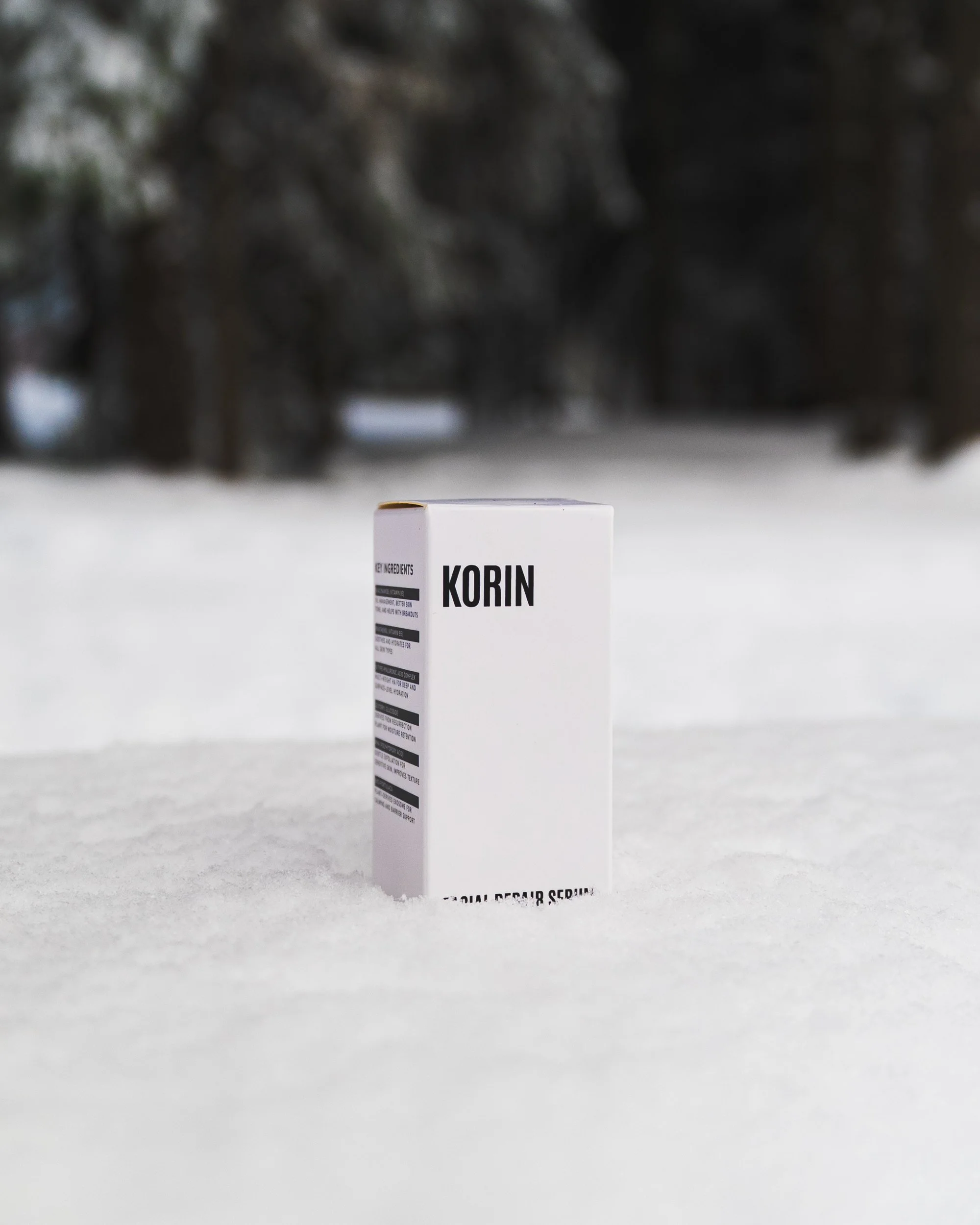 KORIN_01796.jpg