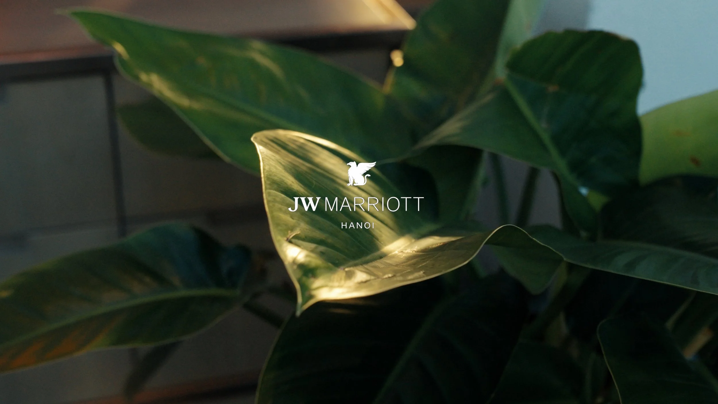 JW Marriott Hanoi