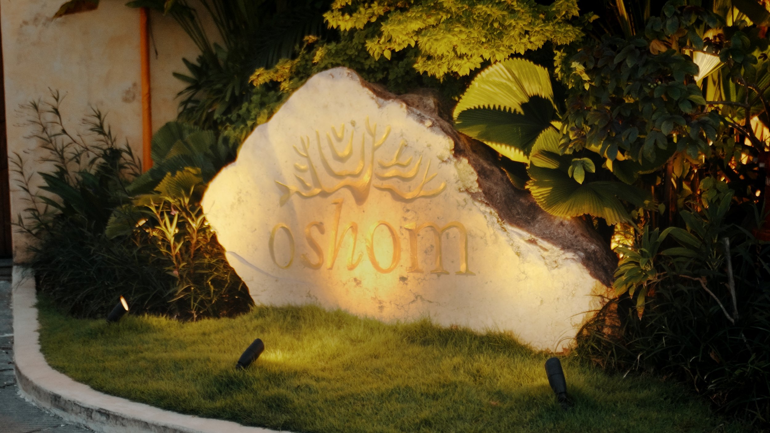 MAIN EDIT_OSHOM BALI_01_57_01_23.jpg