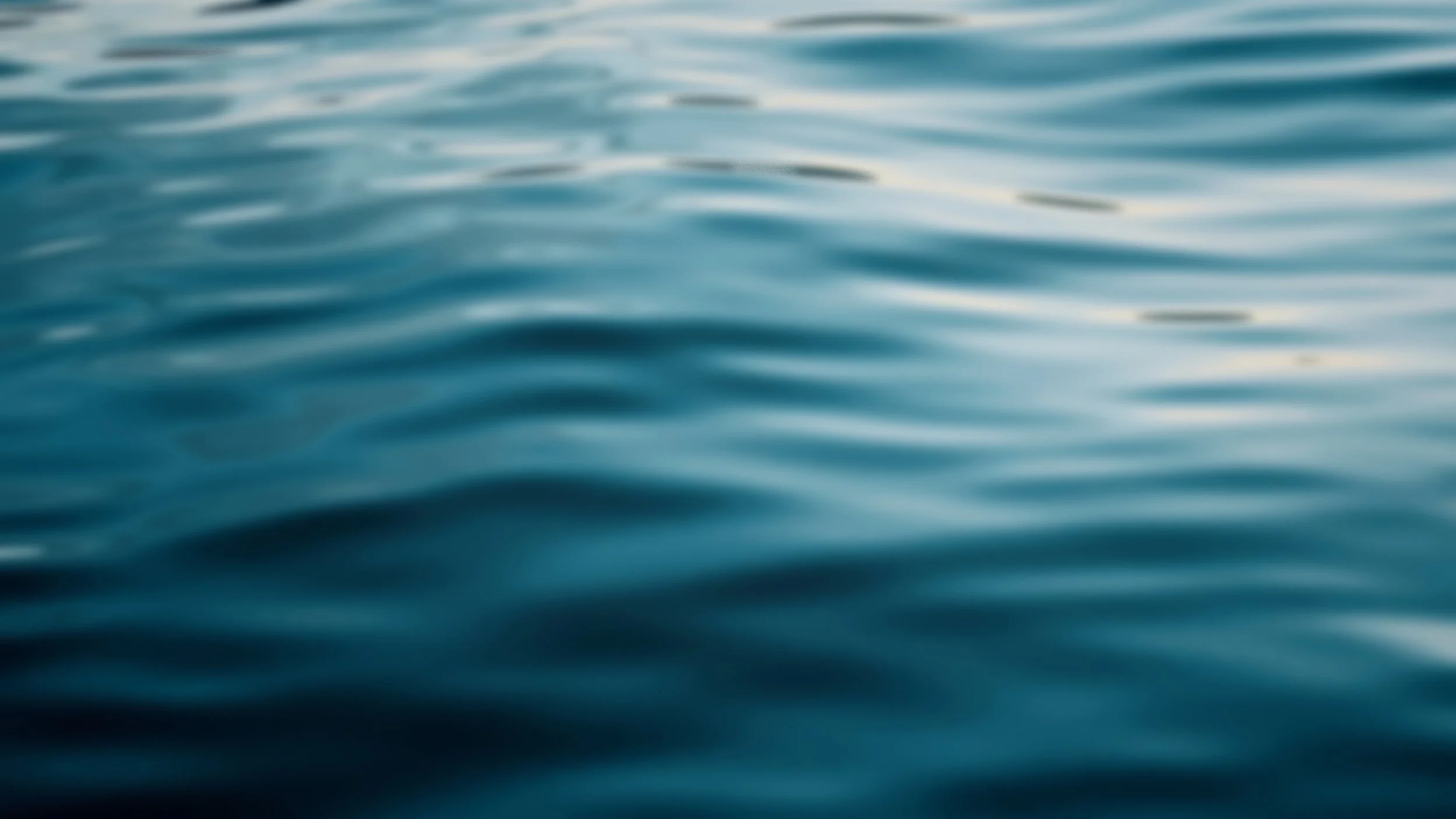 main page image.jpg