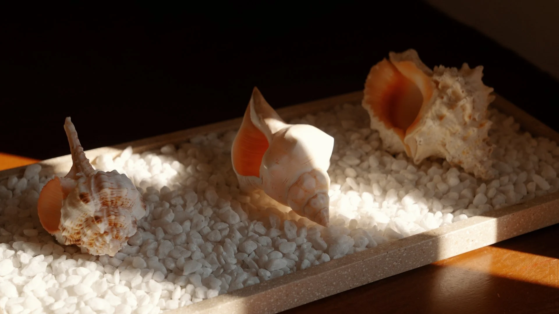 HYATT_01_09_1