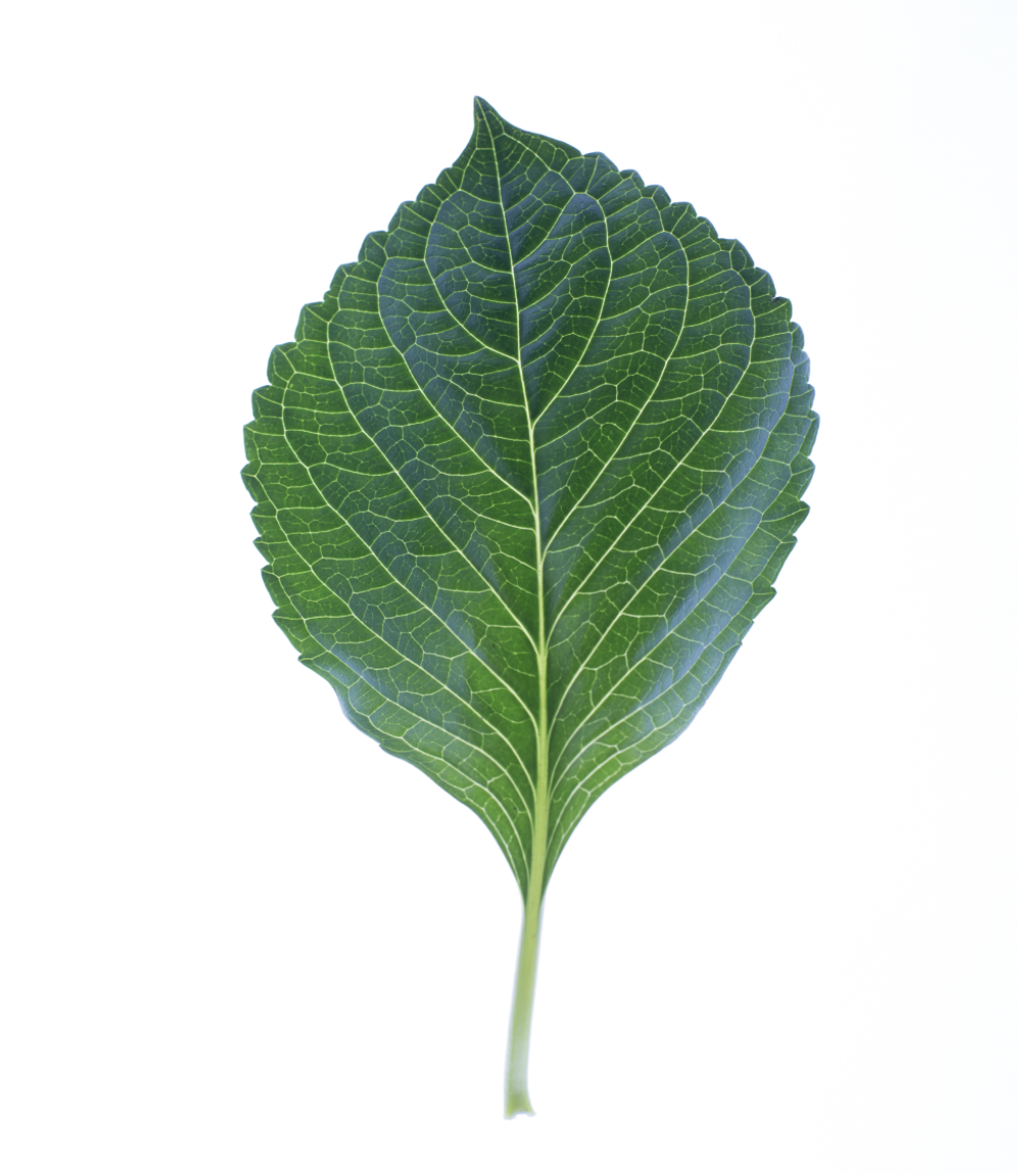 Tools to Complete the Year