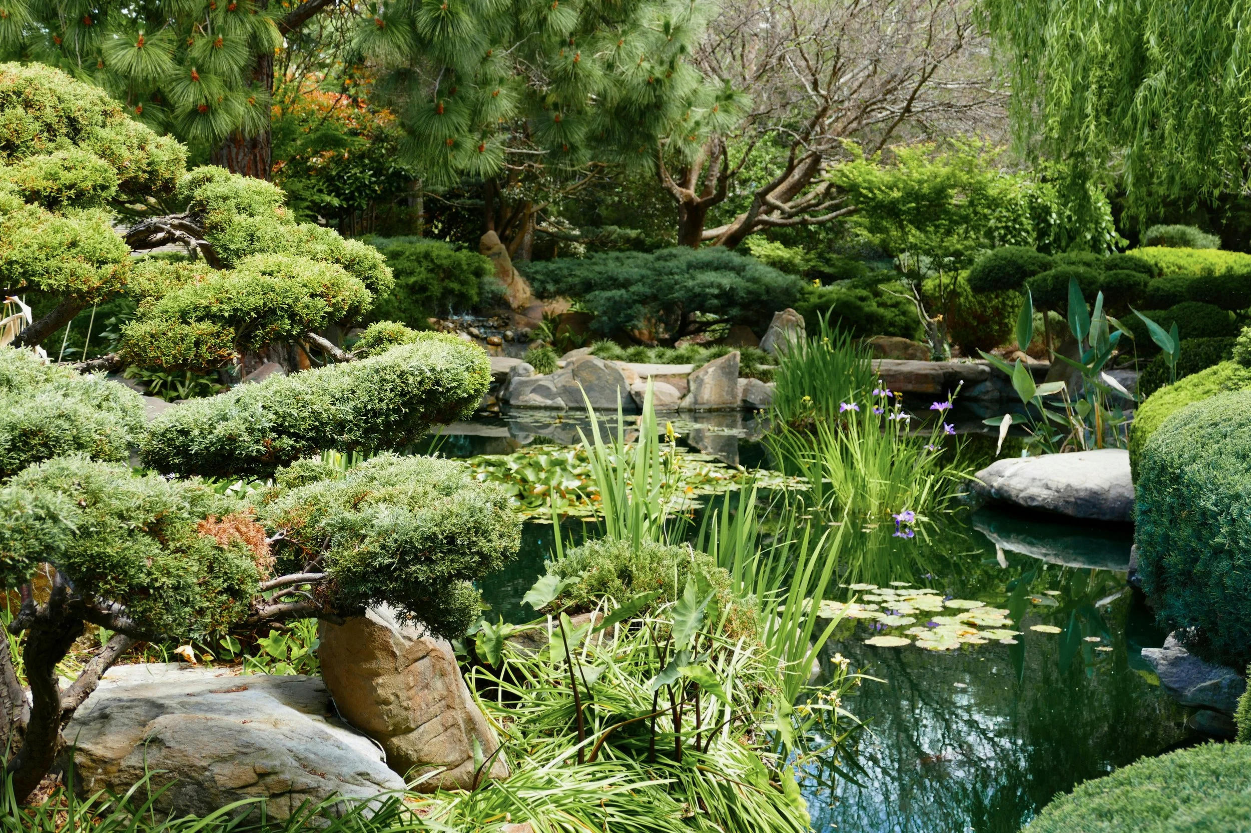 Gratitude and Abundance