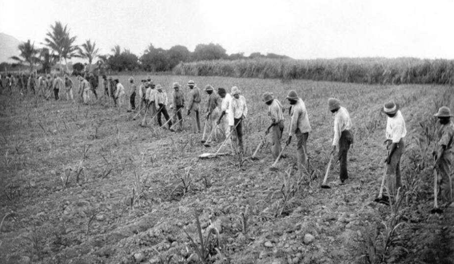 Blackbirding and Challenging Conventional Narratives