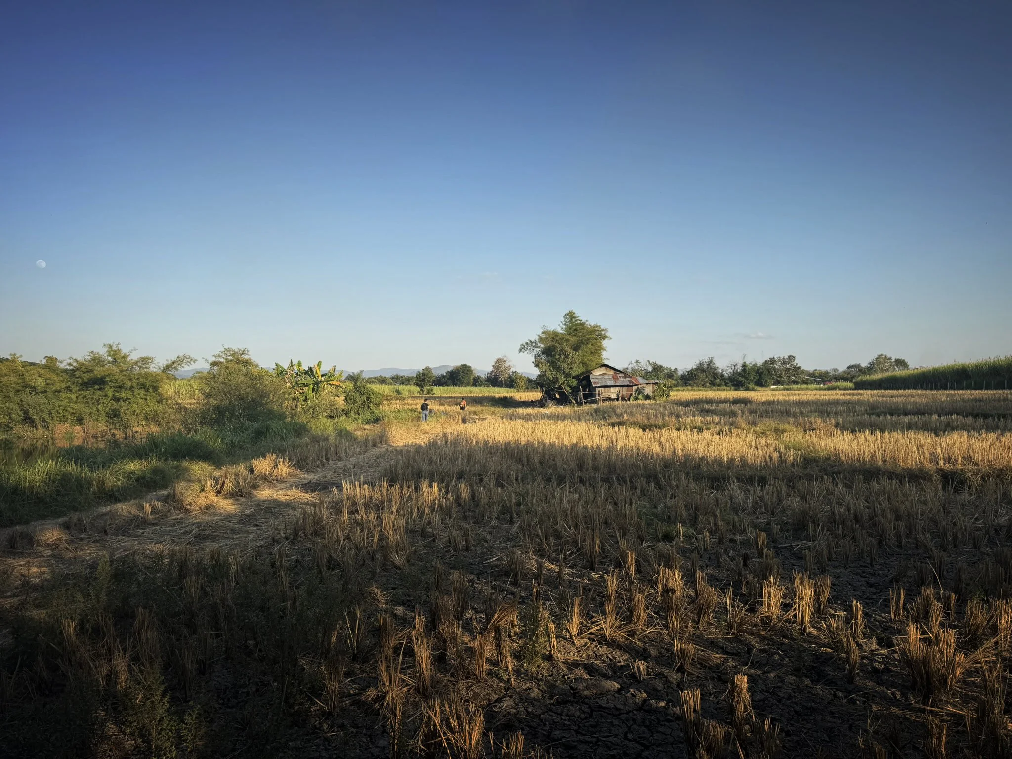 FFDB3210-F141-4122-8F30-B5DCF95B3913_1_102_o copy.jpg