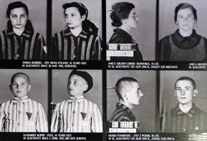 The Holocaust and Colonial Genocide