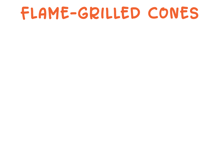 Flame-Grilled Cones