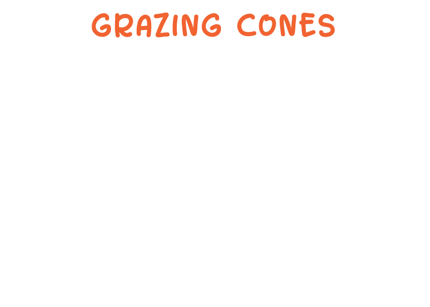 Grazing Cones