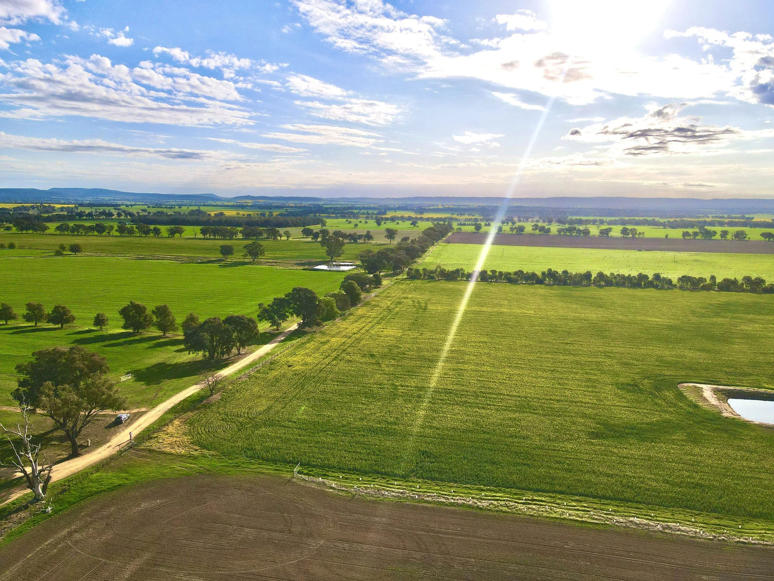 Aerial view of a rural landscape with green fields, trees, a dirt road, small ponds, and a partly cloudy sky with the sun shining.