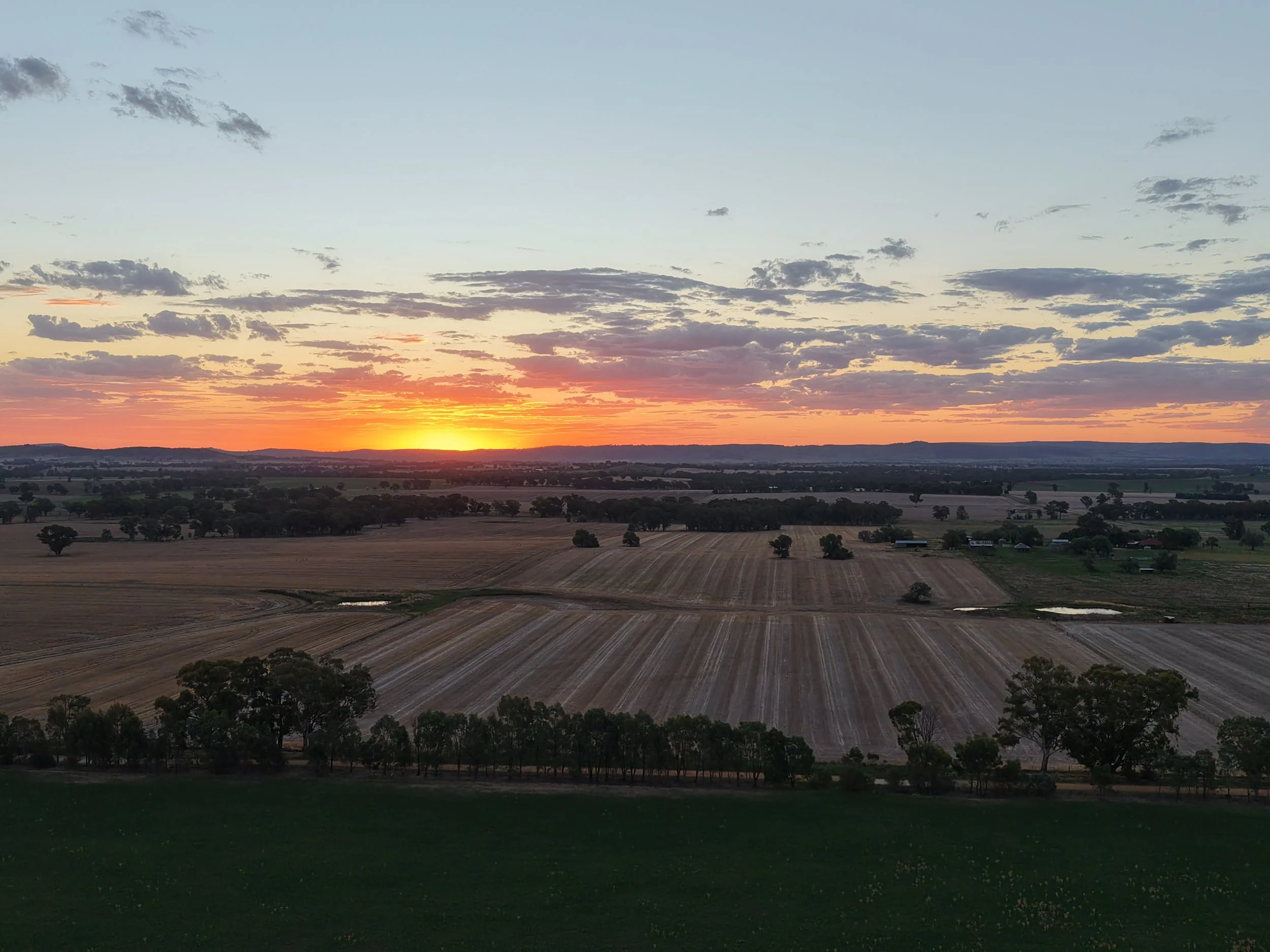 A rural landscape at sunset with fields, trees, and a partly cloudy sky.