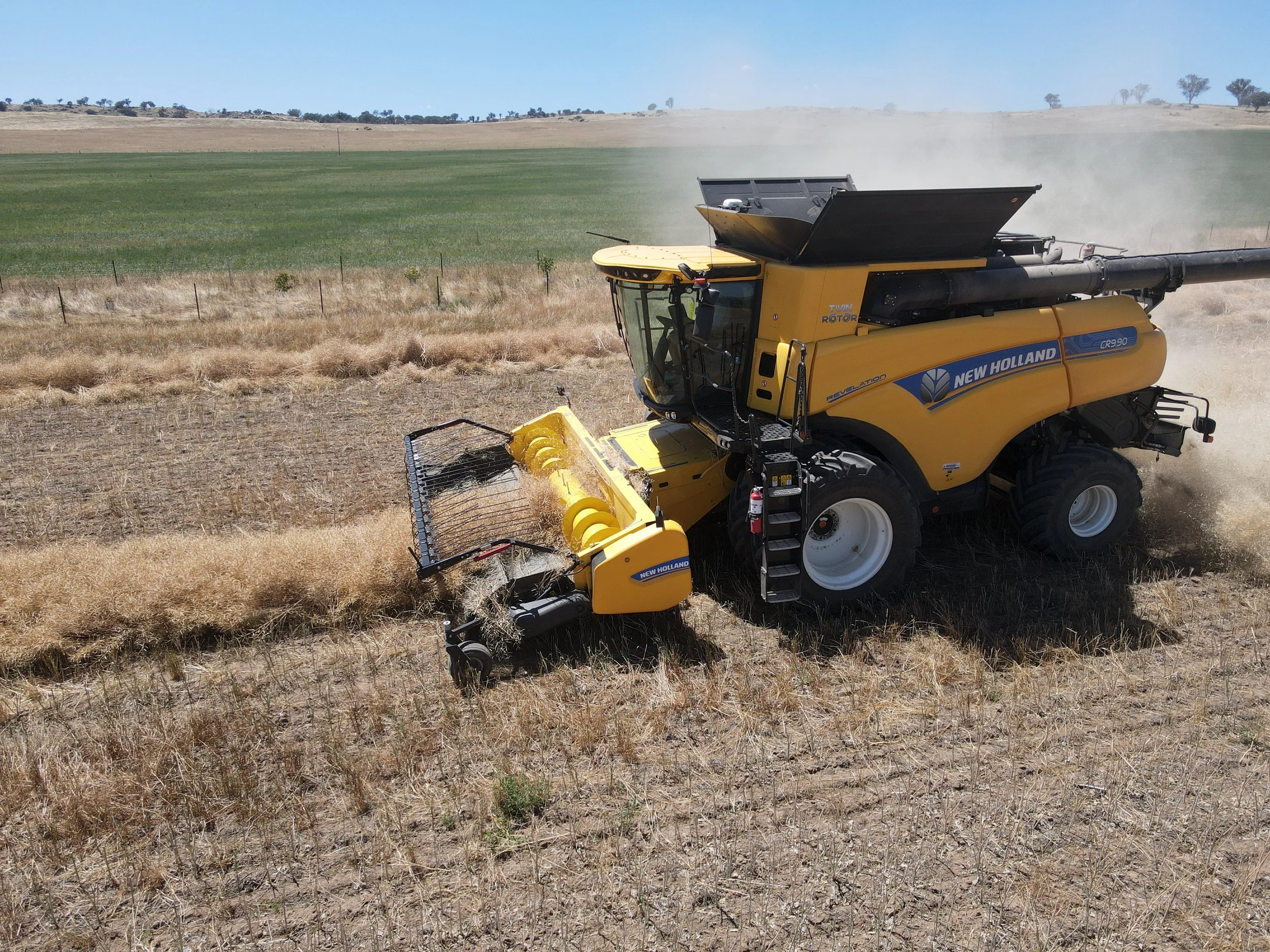 A yellow New Holland combine harvester operating in a dry field, harvesting wheat or a similar crop, with a green pasture and hilly landscape in the background.