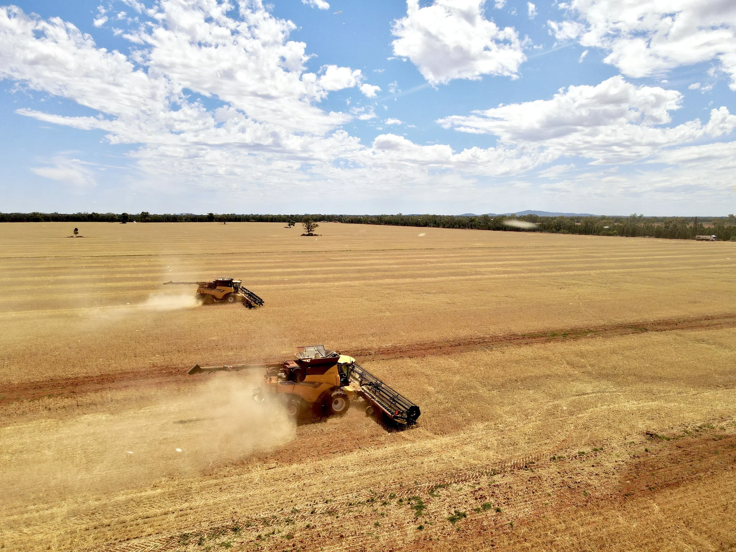 Two large combine harvesters working in a vast golden wheat field under a partly cloudy sky.