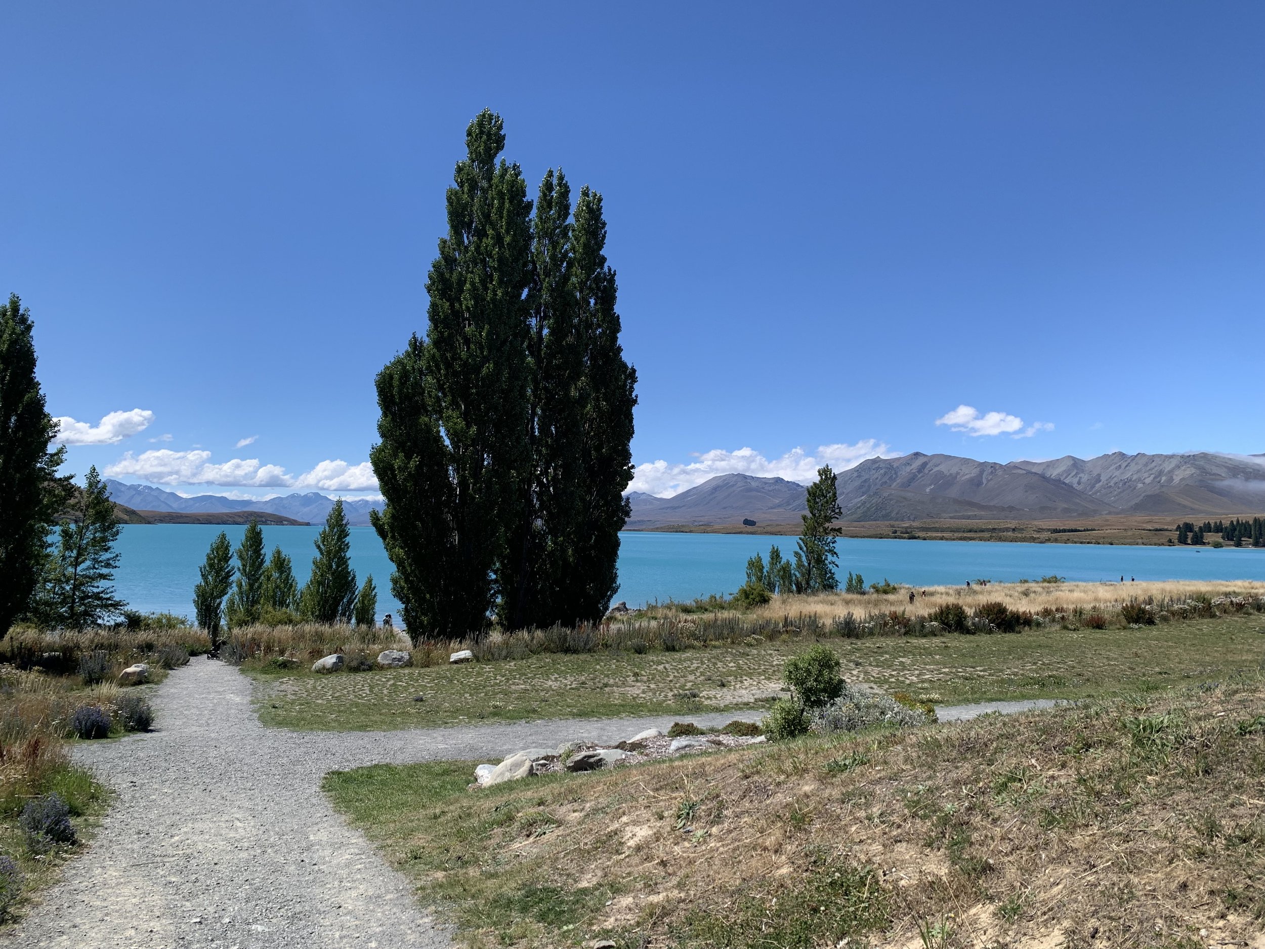 A scenic view of a pathway leading to a turquoise lake surrounded by trees and mountains under a clear blue sky.