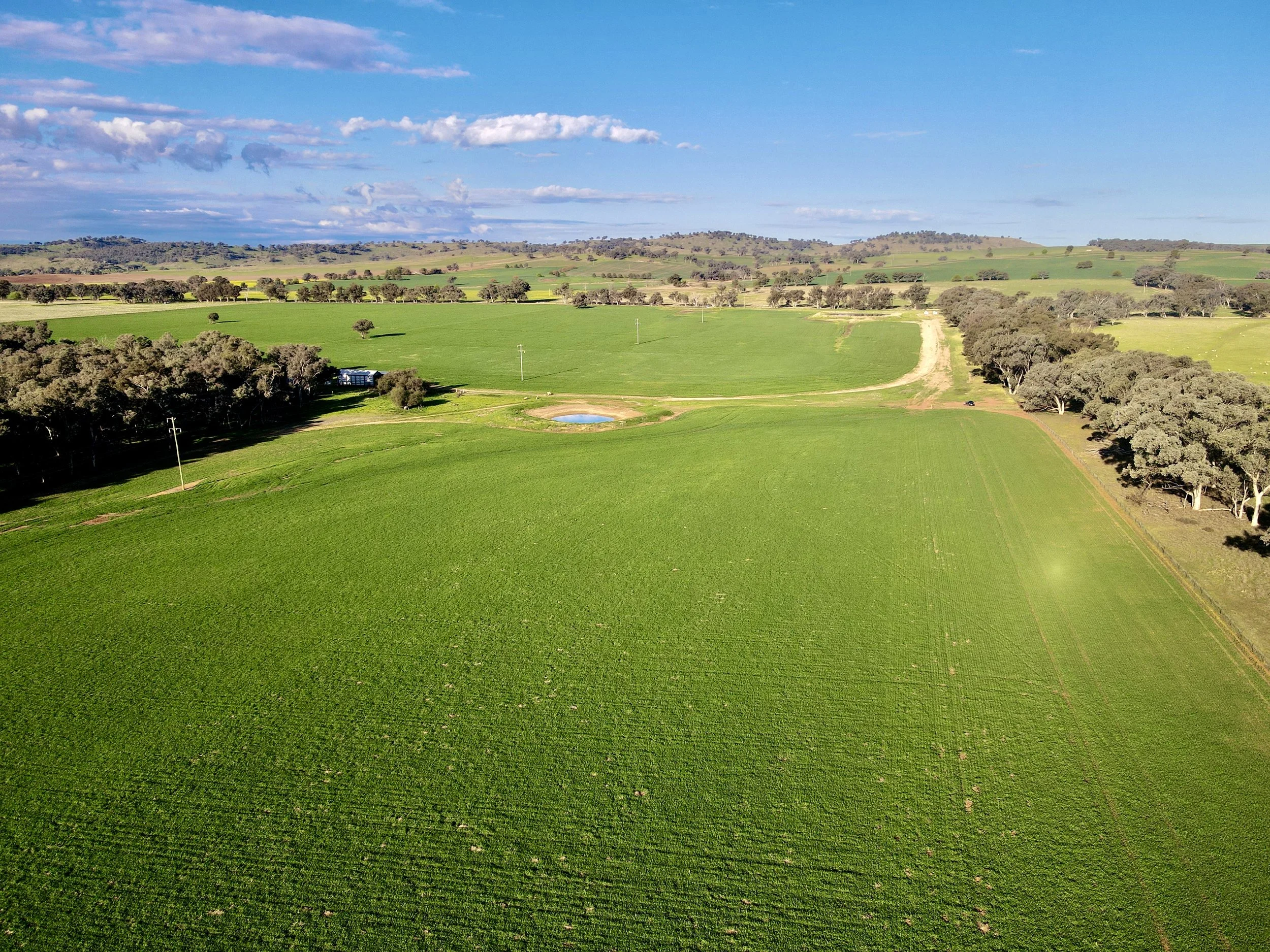 Aerial view of green farmland with some trees, a small pond, dirt roads, and hills in the background under a partly cloudy sky.