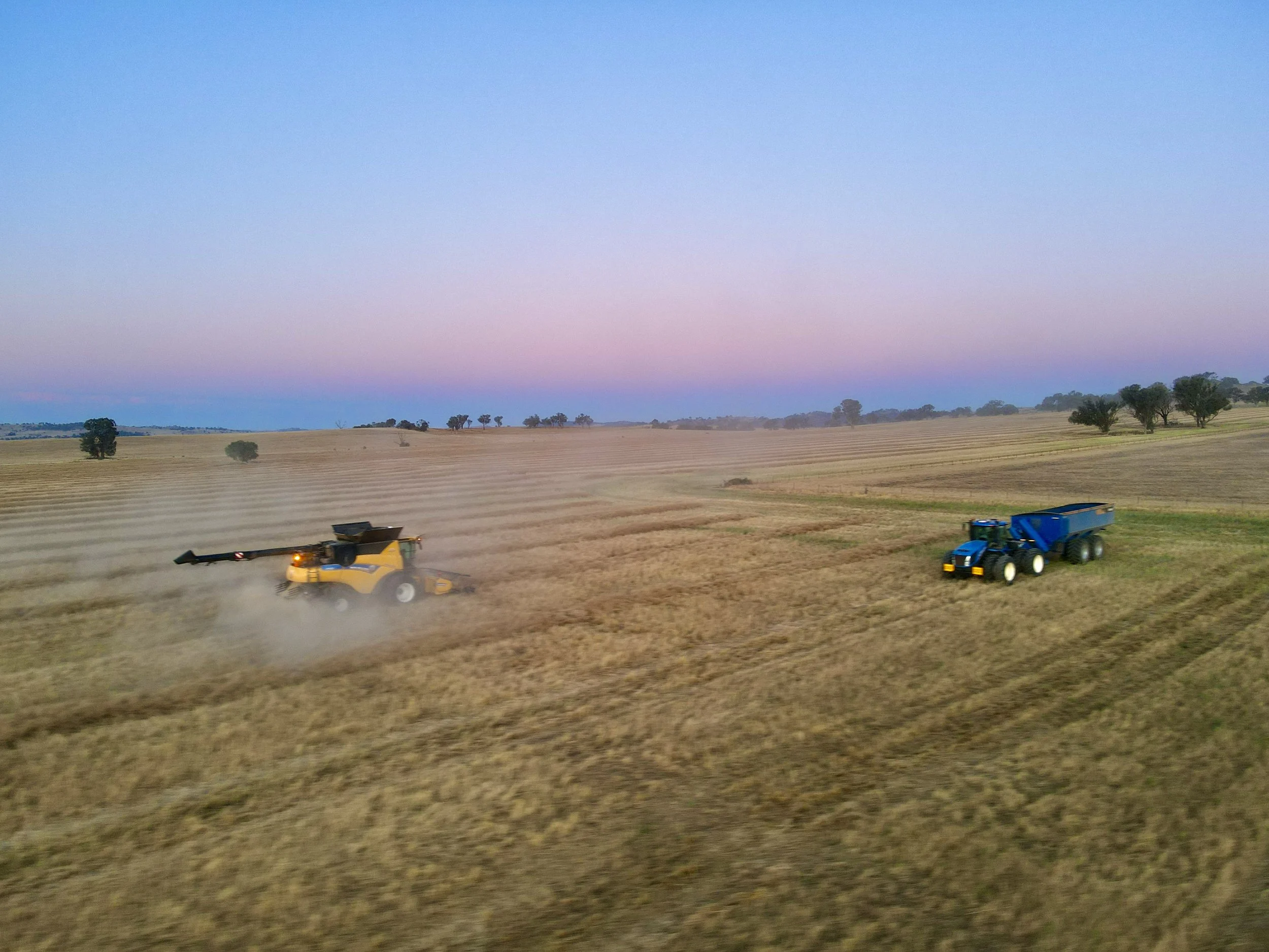 A yellow combine harvester working in a large field with another blue tractor nearby under a colorful sky at dusk.