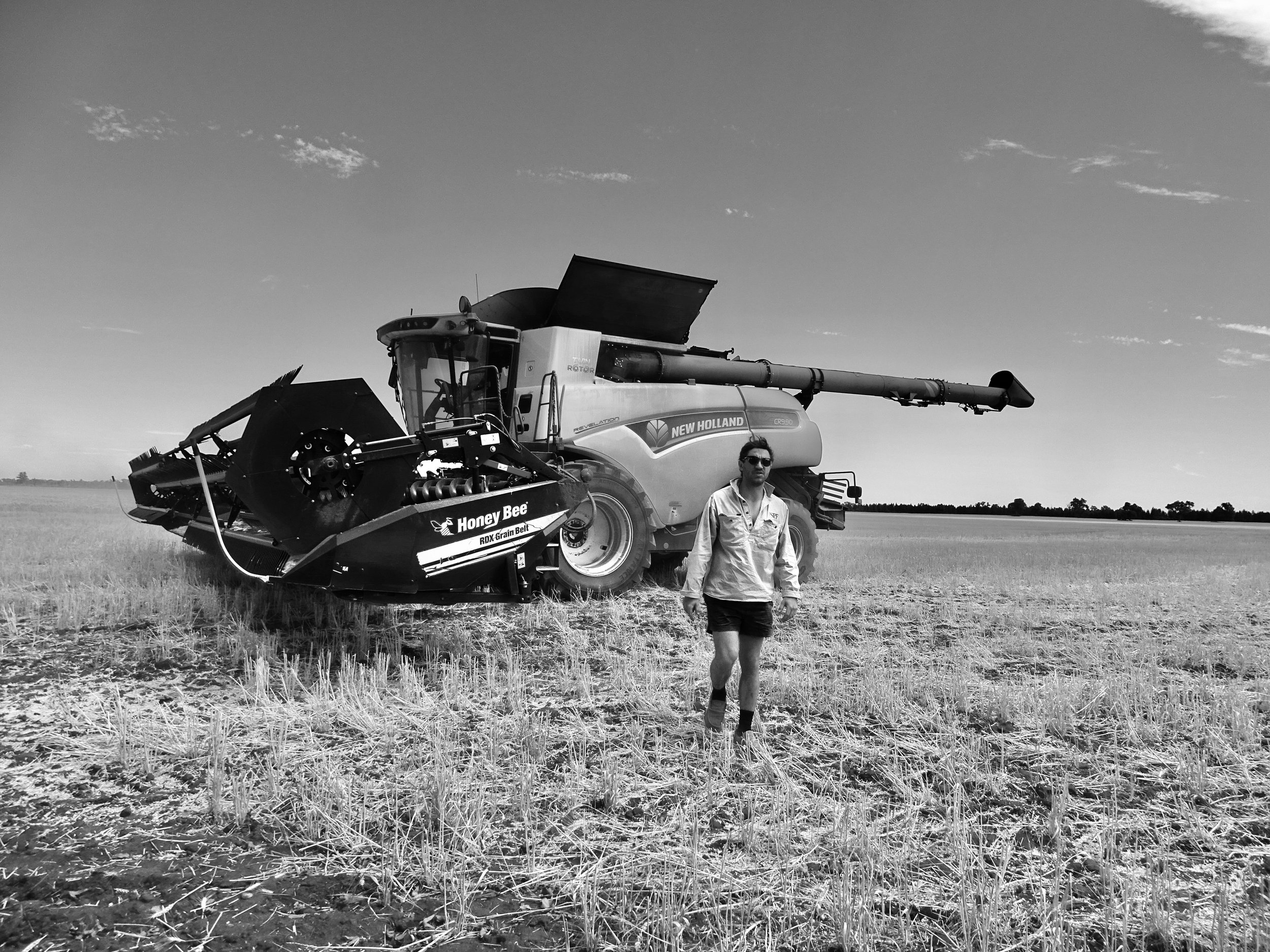 Harvest at Euabalong