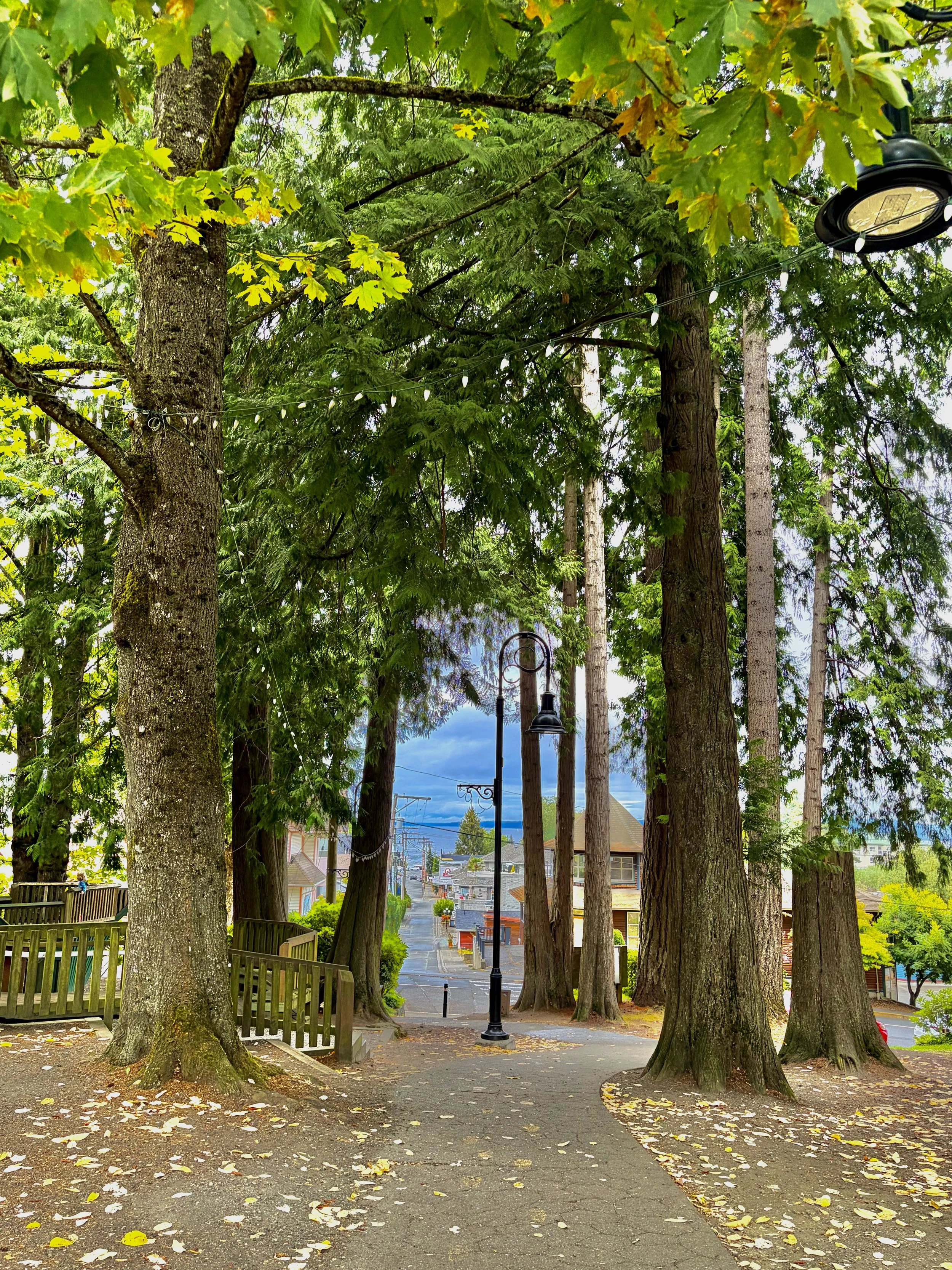 Chemainus