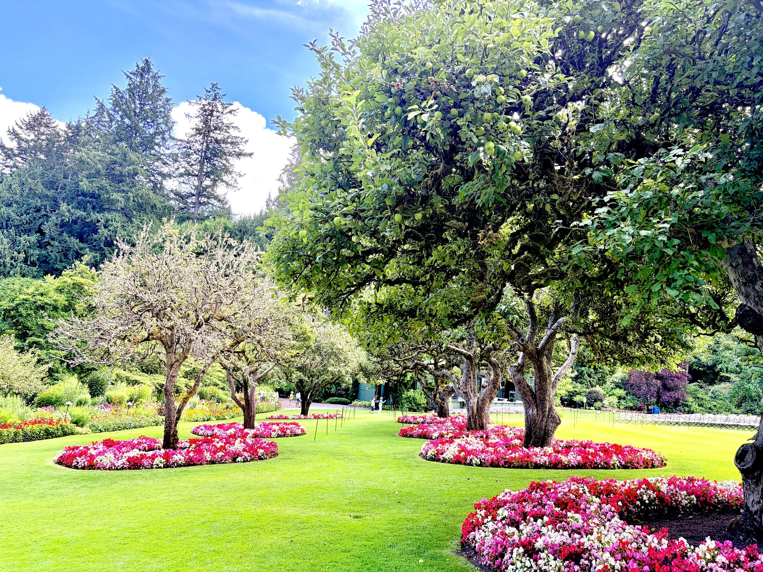 The Butchart Gardens