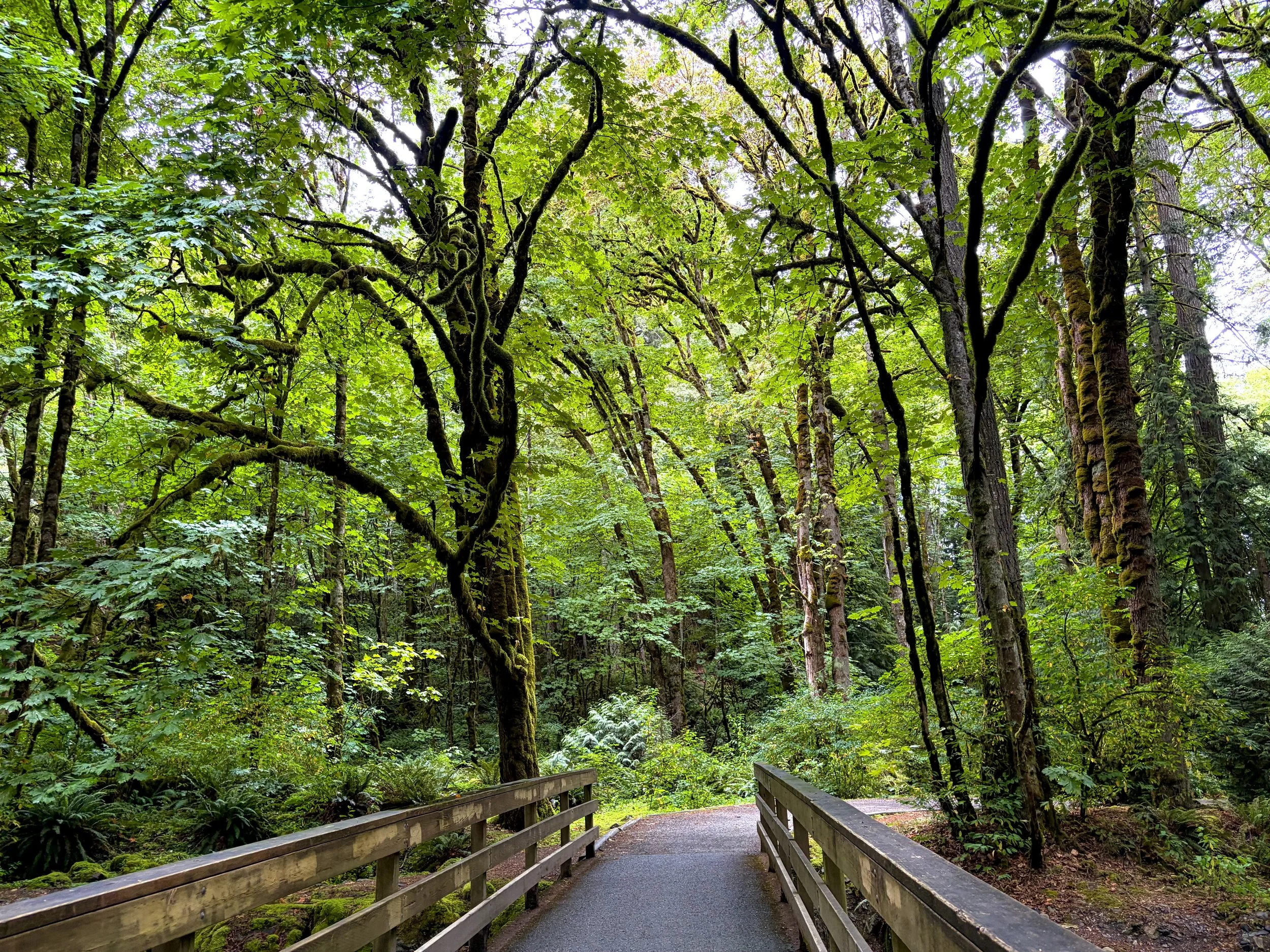 Goldstream Provincial Park