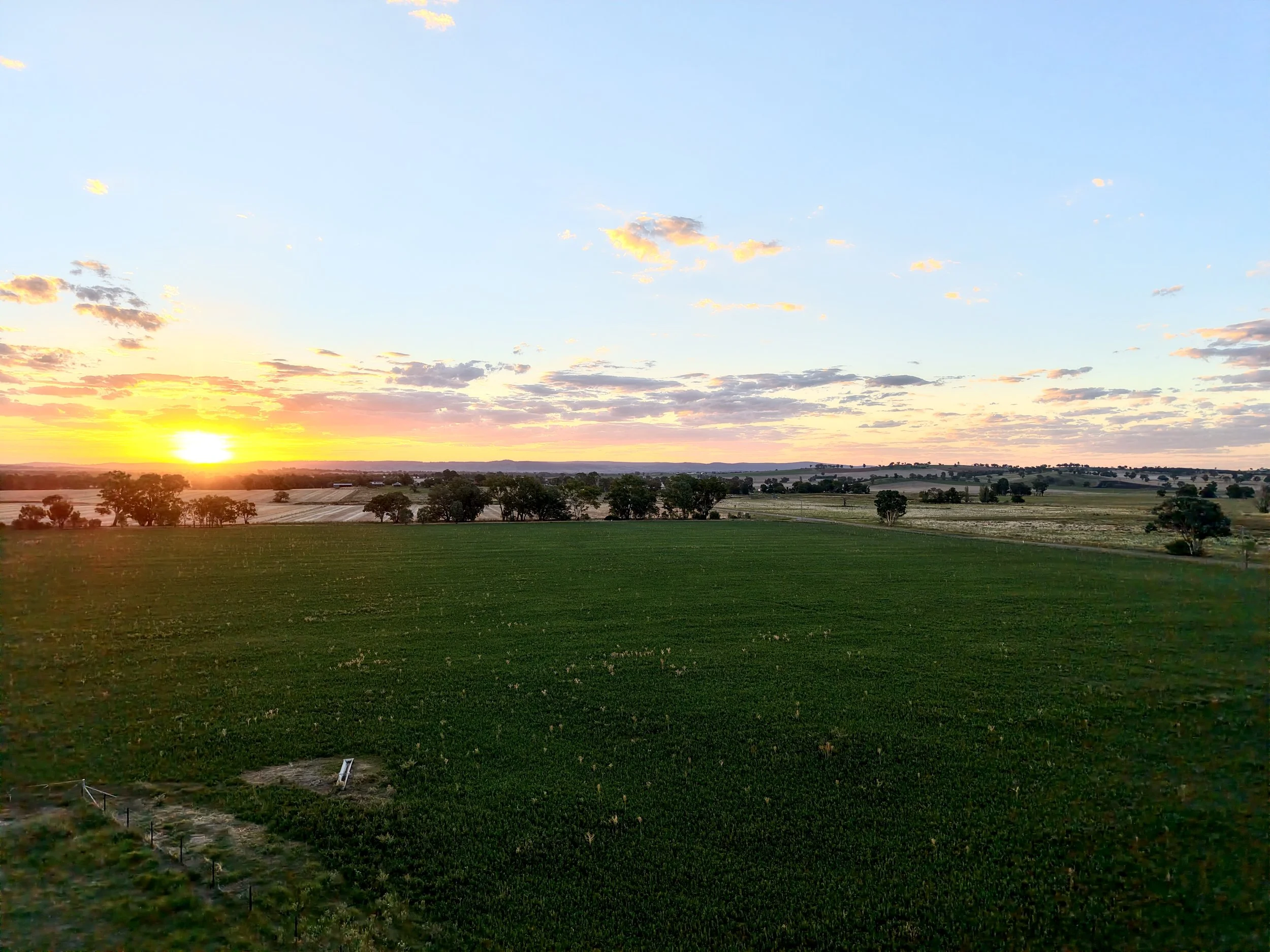 A scenic landscape of farmland at sunset, with green fields, scattered trees, and a partly cloudy sky with orange and pink hues.