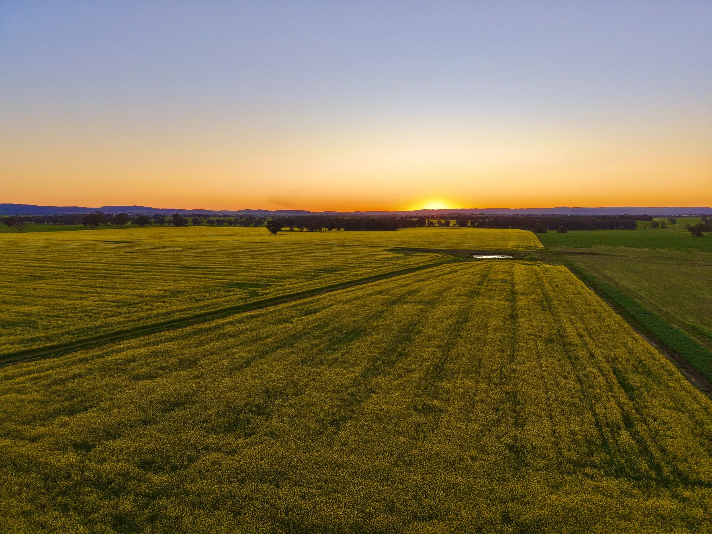 dji_fly_20260919_181124_0750_1790842280507_photo.jpeg