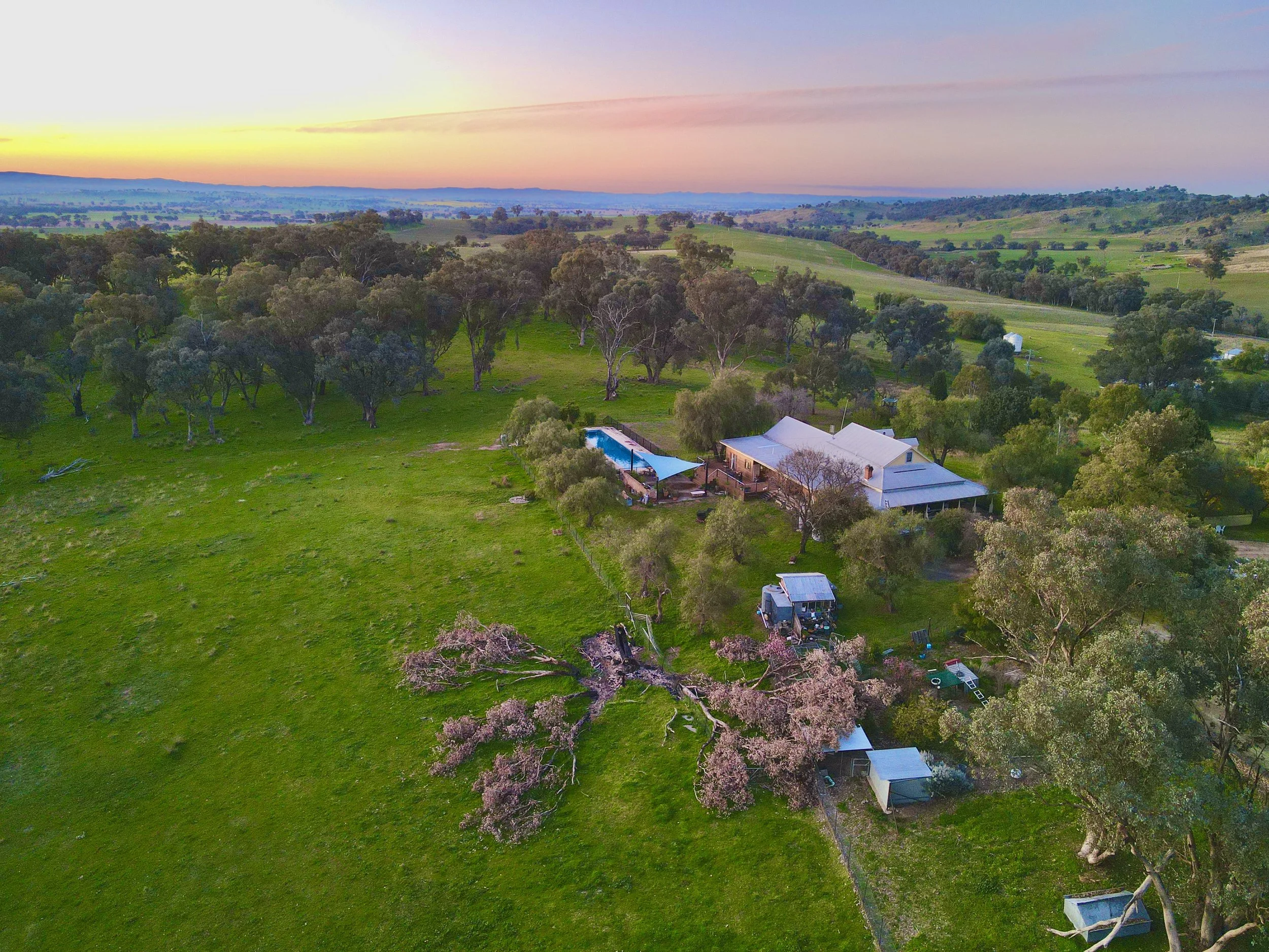 Aerial view of a farm with a house, trees, a swimming pool, and a fallen pink flowering tree at sunset or sunrise, in a rural landscape.