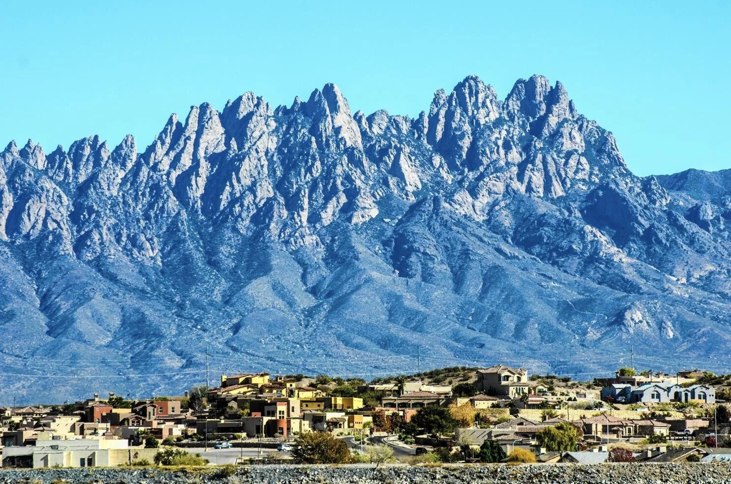 Indivisible Las Cruces Forum