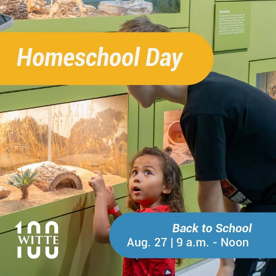 Witte Musuem: Homeschool Day