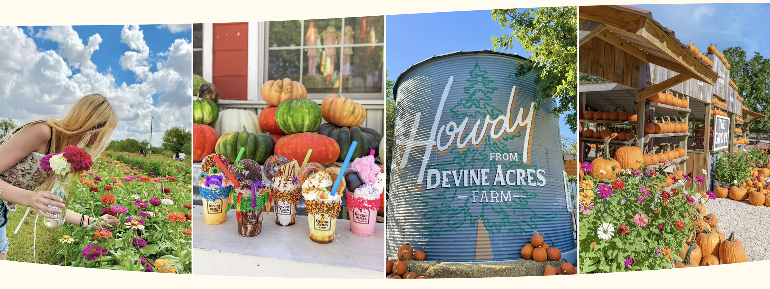 Devine Acres Homeschool Day