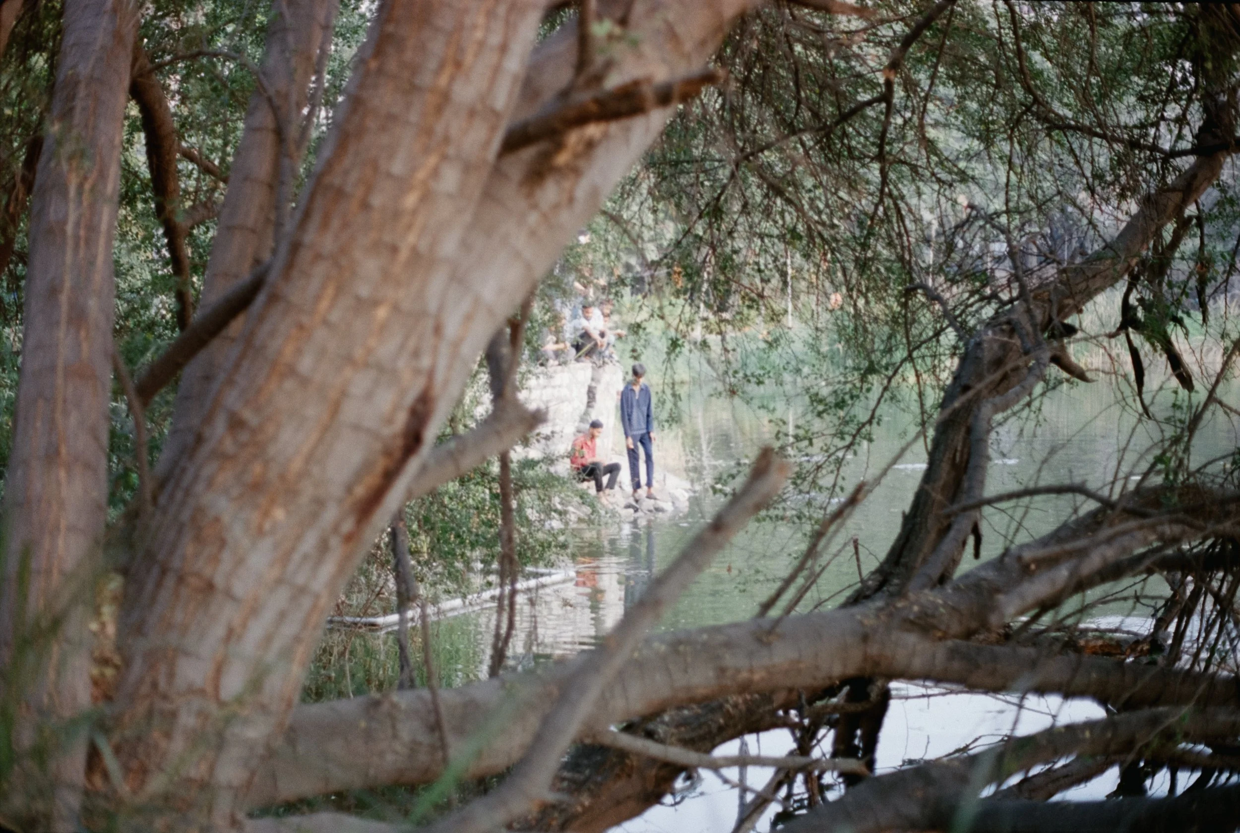 Kids playing near the pond