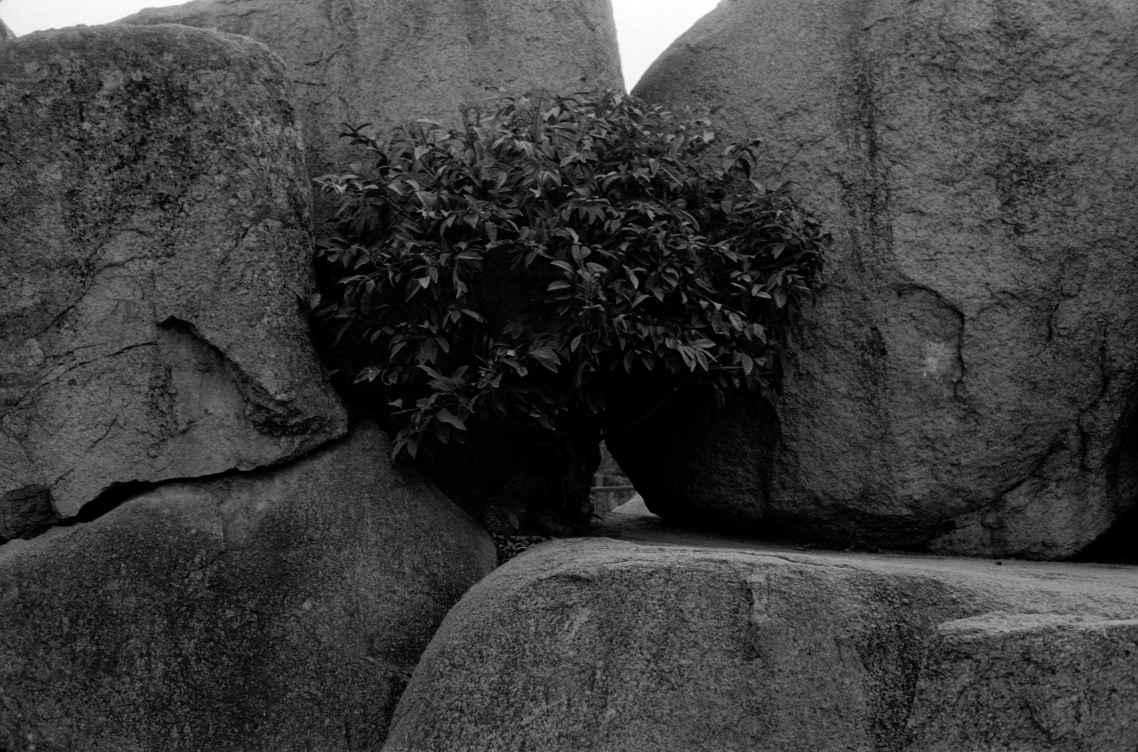 Hope of growth in rocky situations