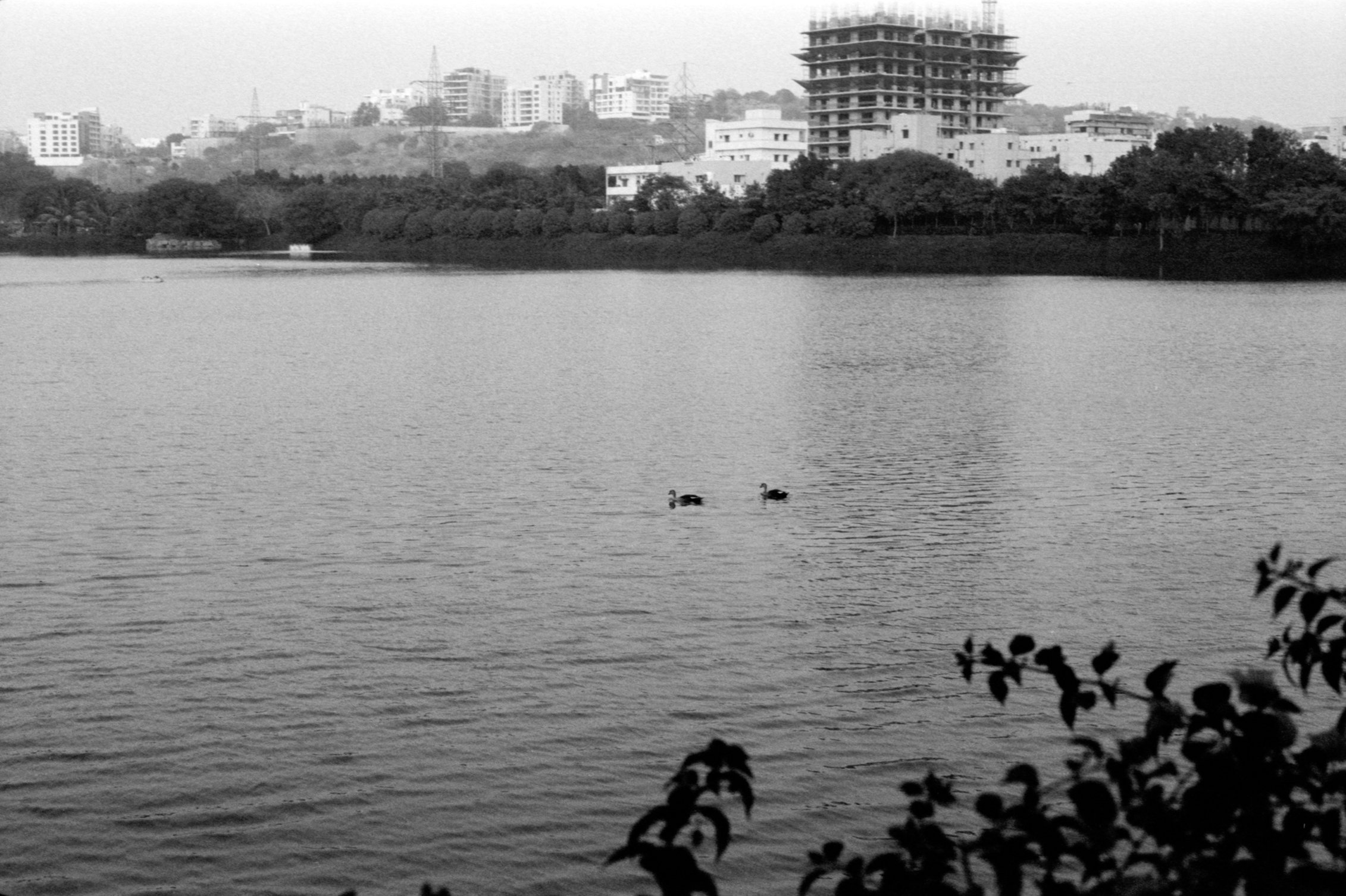 Two ducks in a pond. Also, me and who? 