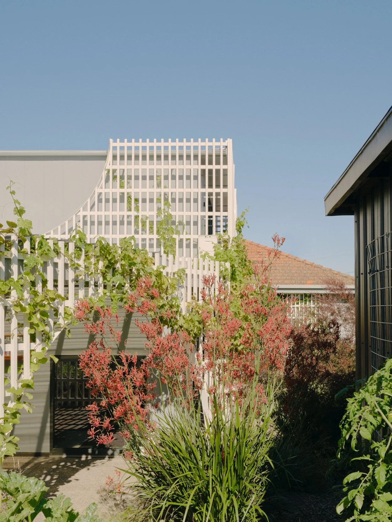 A garden scene with flowering plants, a decorative white fence, and modern buildings in the background against a clear blue sky.