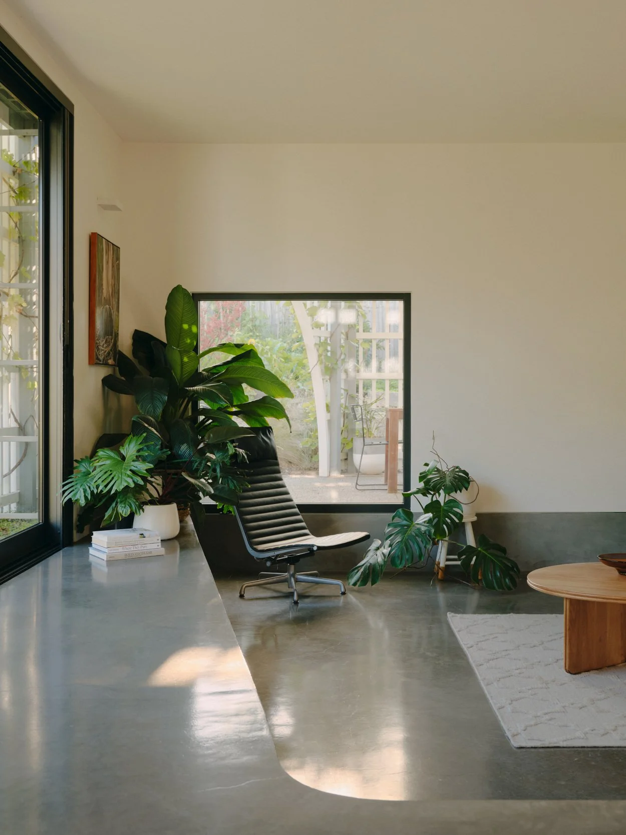 Modern living room with large green plants, a black lounge chair, a window with a view of an outdoor patio, a white rug, and a light-colored wall.