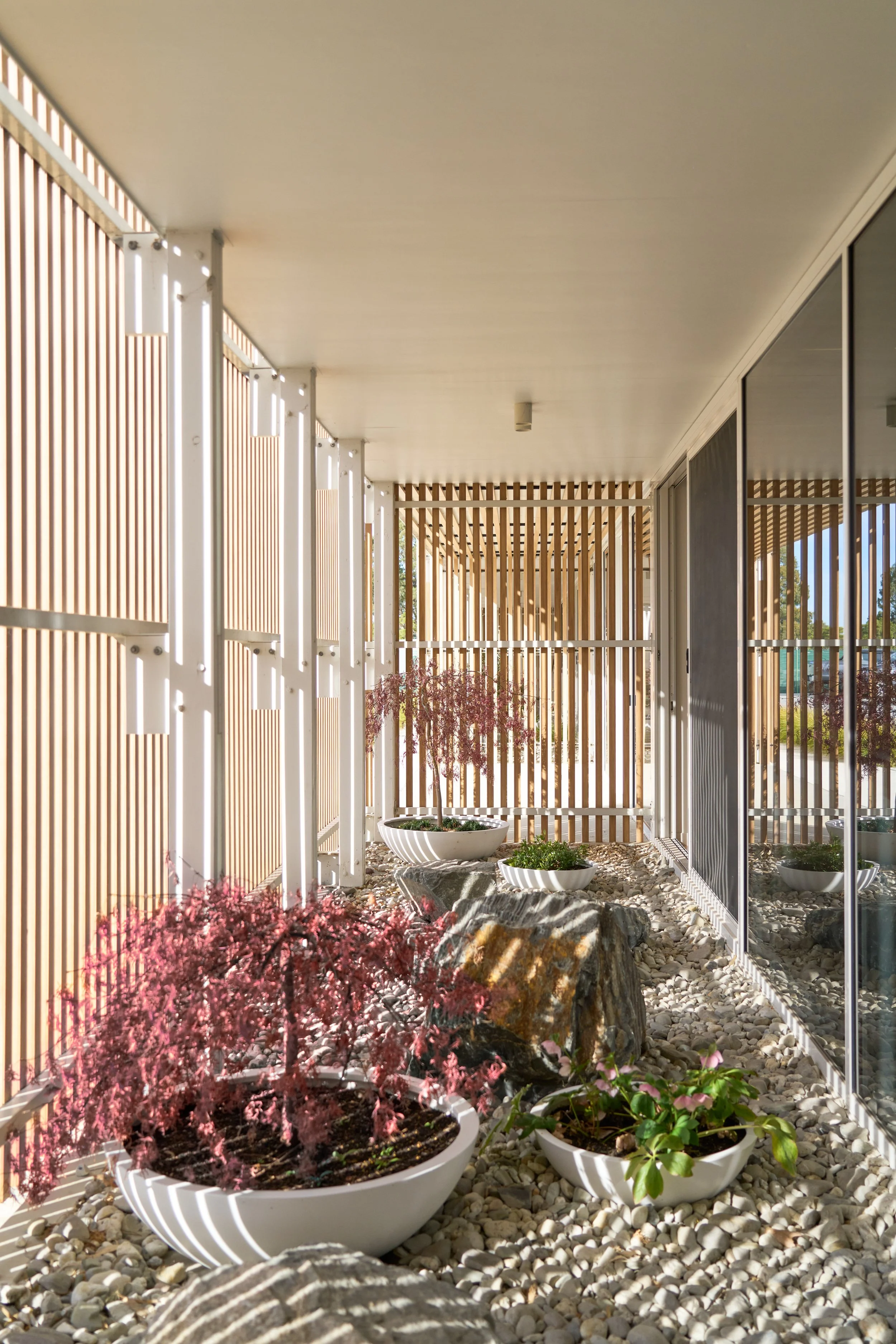 Modern outdoor space with white planters containing various plants, surrounded by a gravel ground, wooden vertical slat fencing, and large rocks, with a white ceiling overhead.