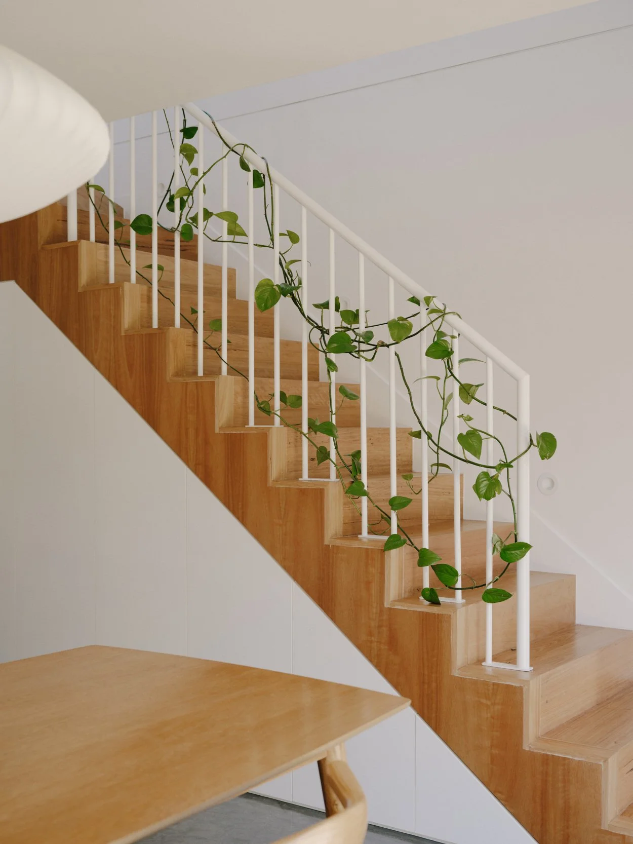 Wooden staircase with white railing and green vine plant climbing along the railing.