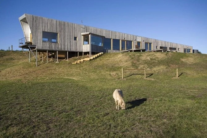 Modern house with wooden exterior built on stilts on a grassy hill, facing a clear blue sky, with a small animal grazing nearby.