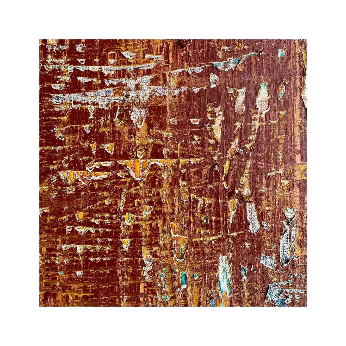  A detail from “Redwood” 