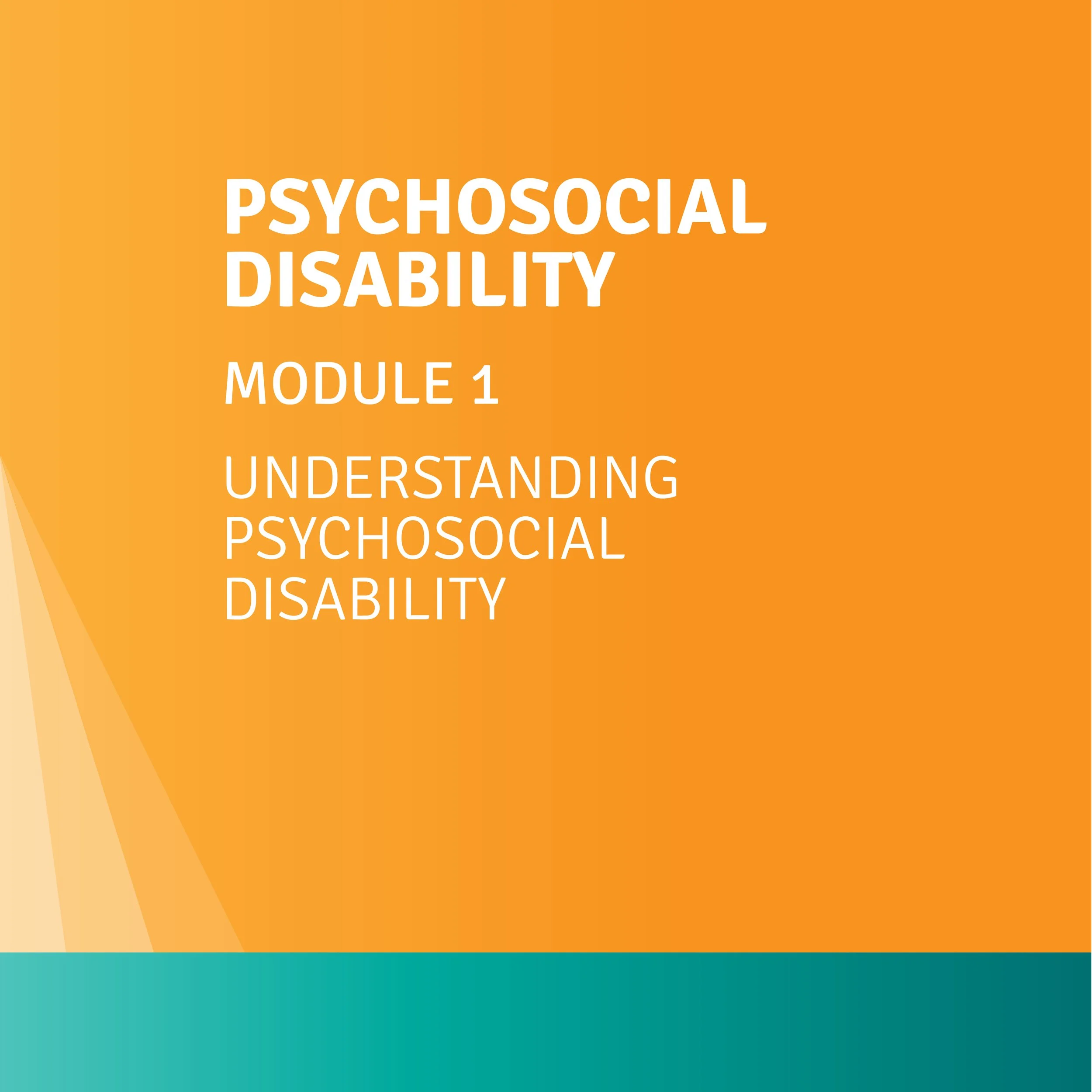 Module 1: Understanding Psychosocial Disability