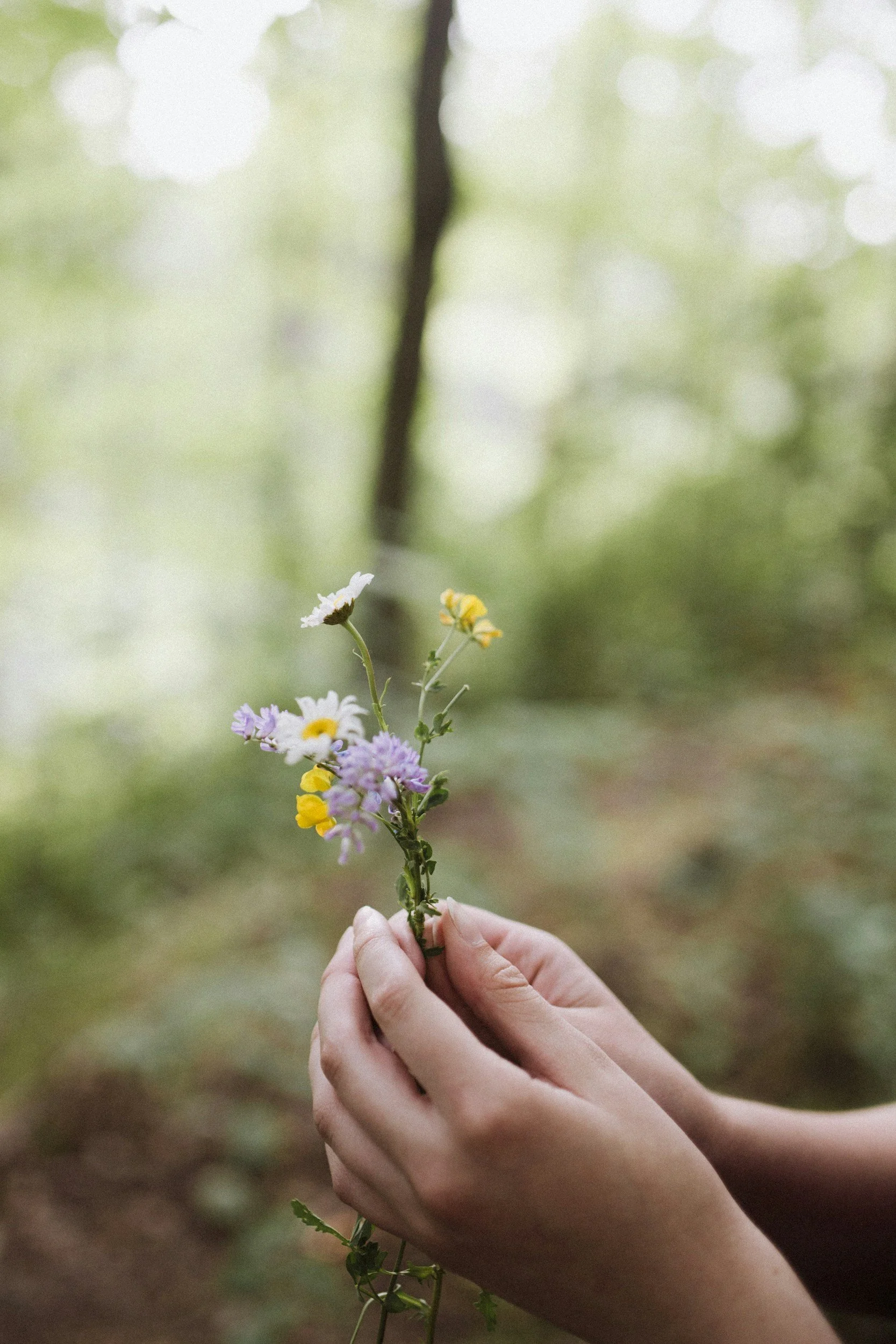 A pair of hands holding a small bouquet of wildflowers with various colors, including white, yellow, and purple, against a blurred outdoor background with green foliage.