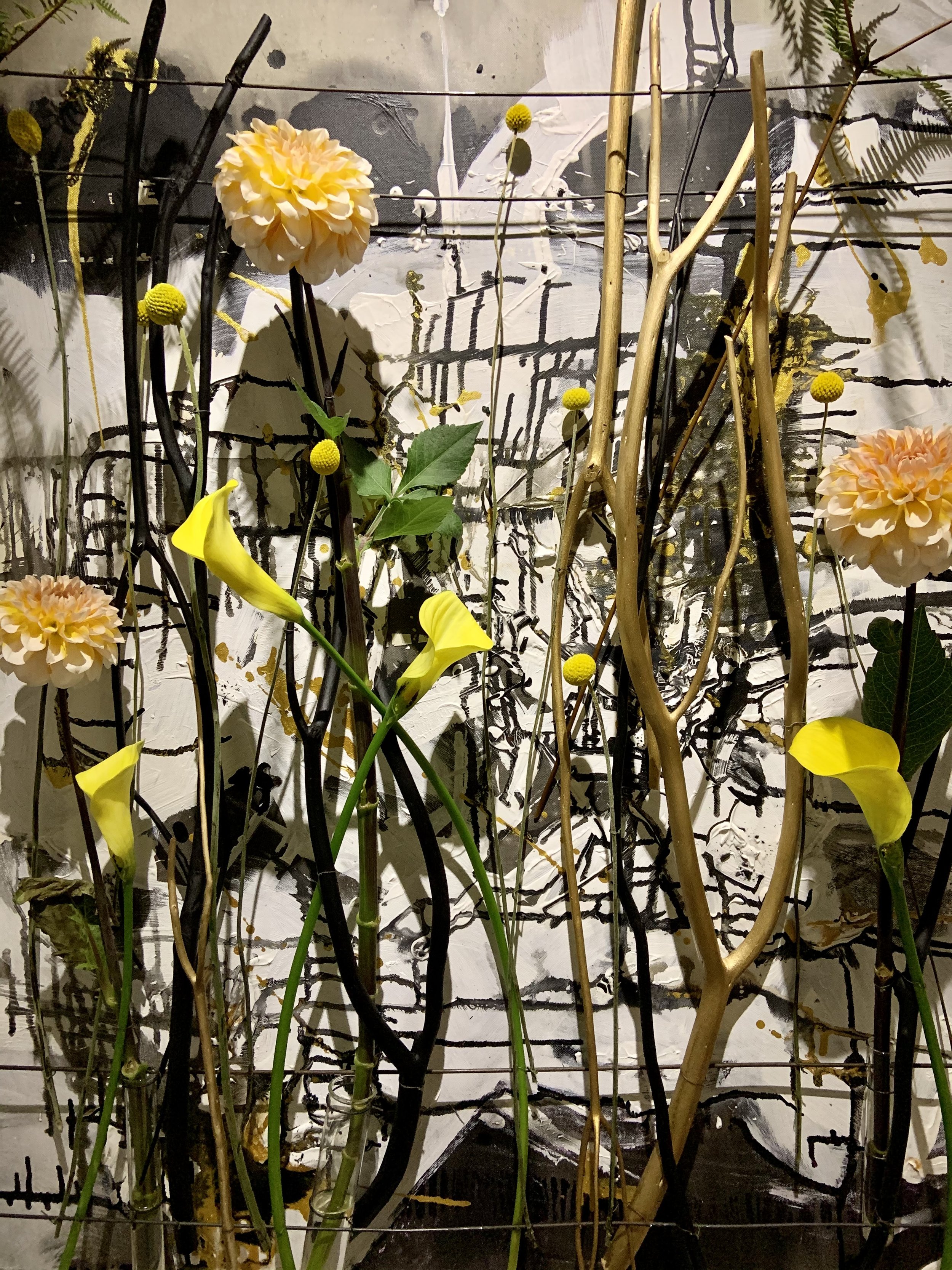 Installation & Models